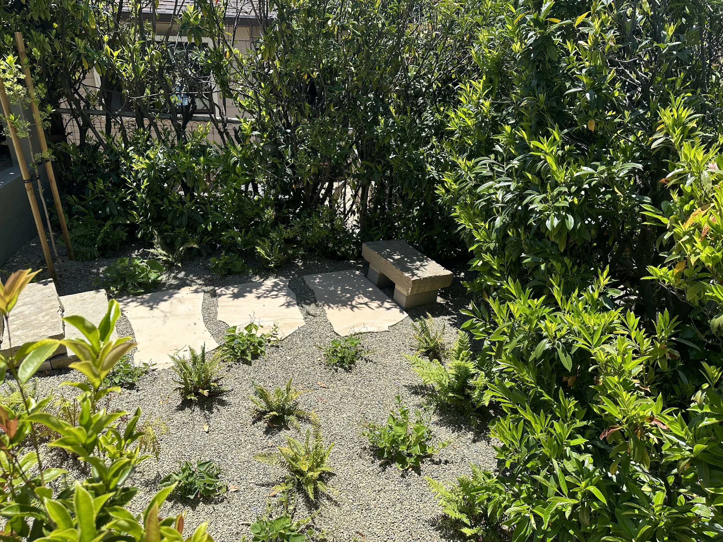 Tea & Reading Corner