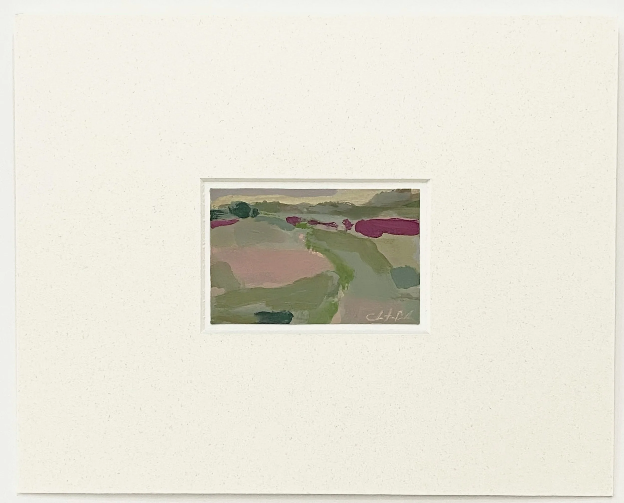 Mini Landscape in Mat