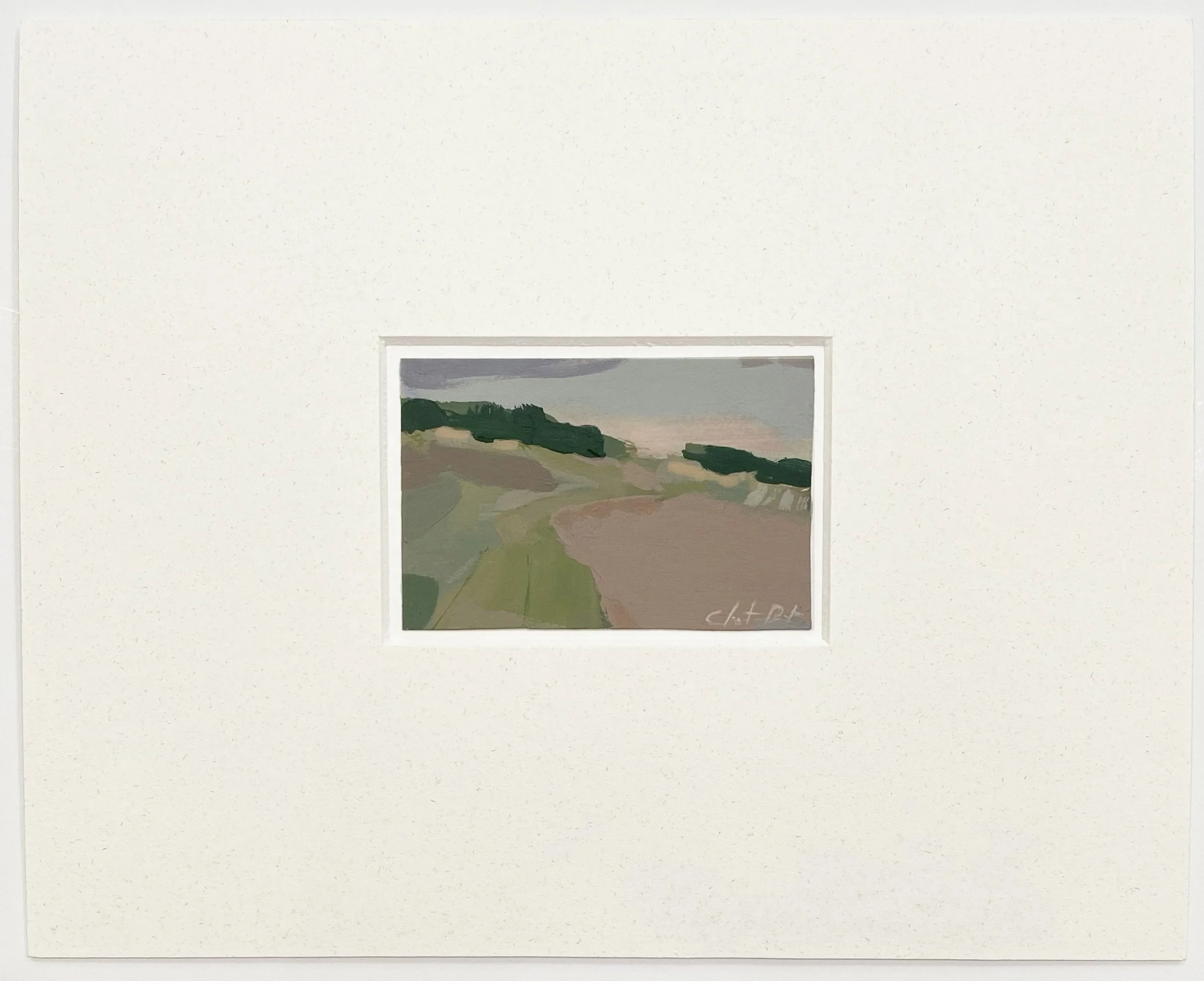 NEW Mini Landscape in Mat