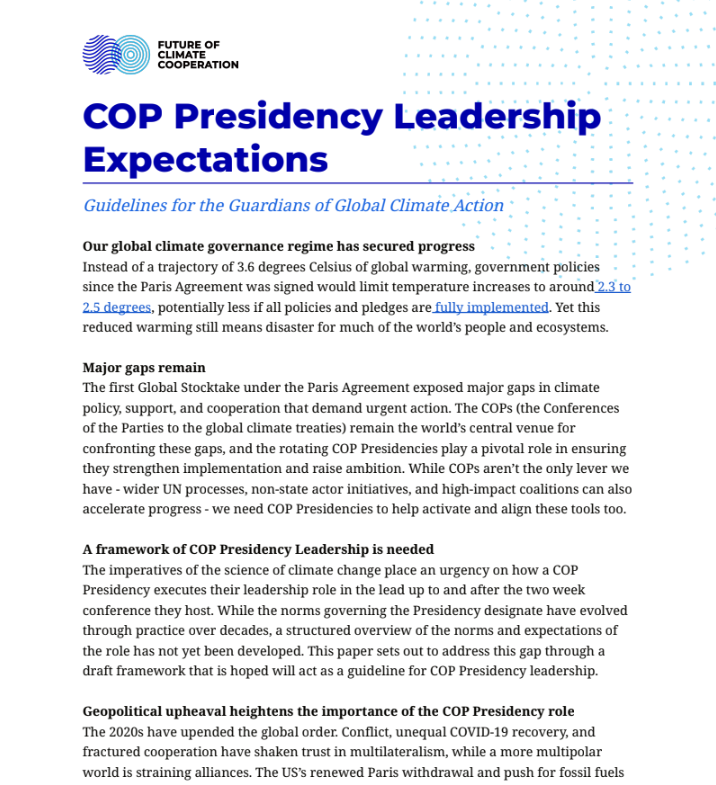 COP Presidency Leadership Expectations