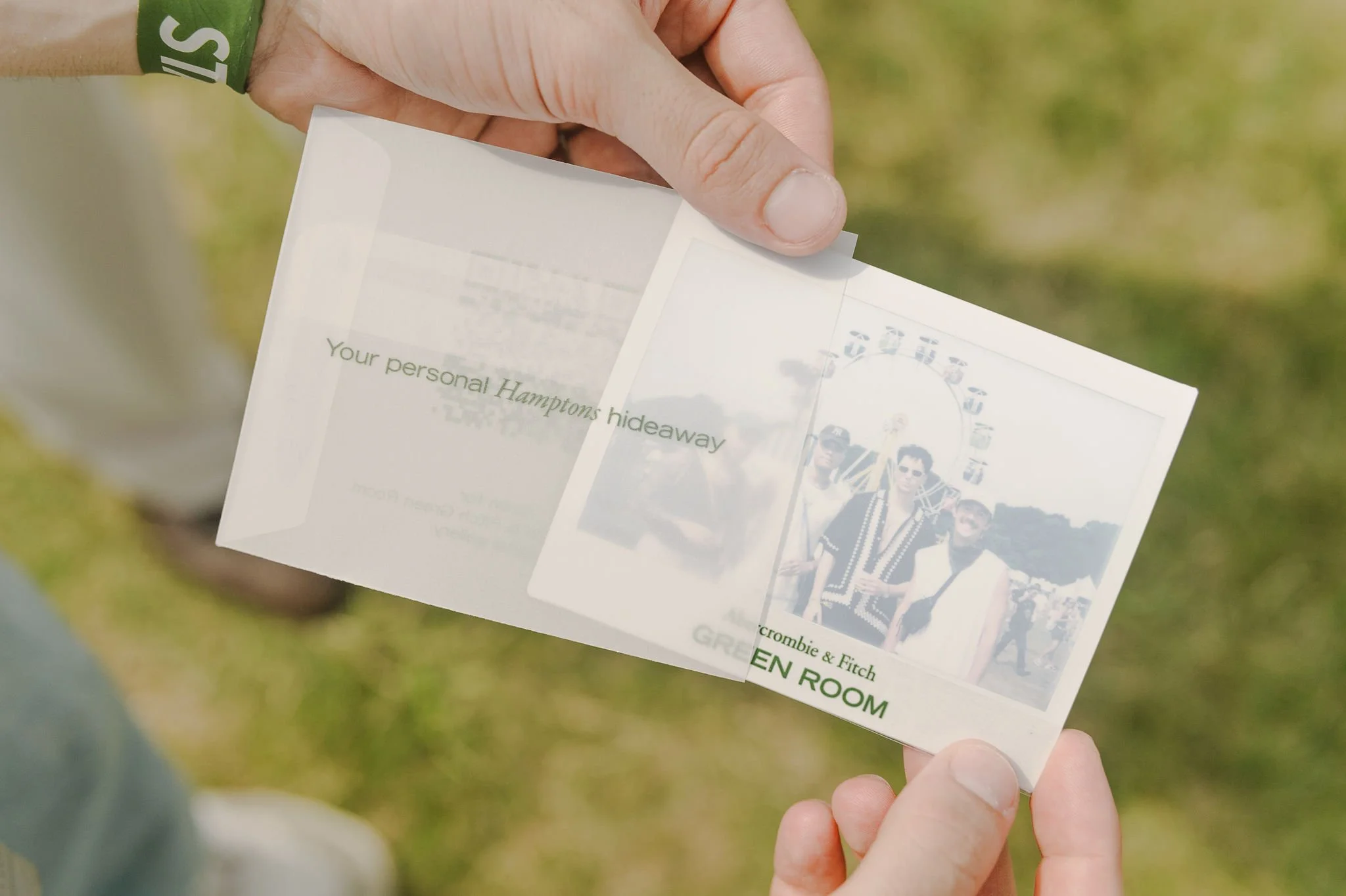 Abercrombie: Palm Tree Festival