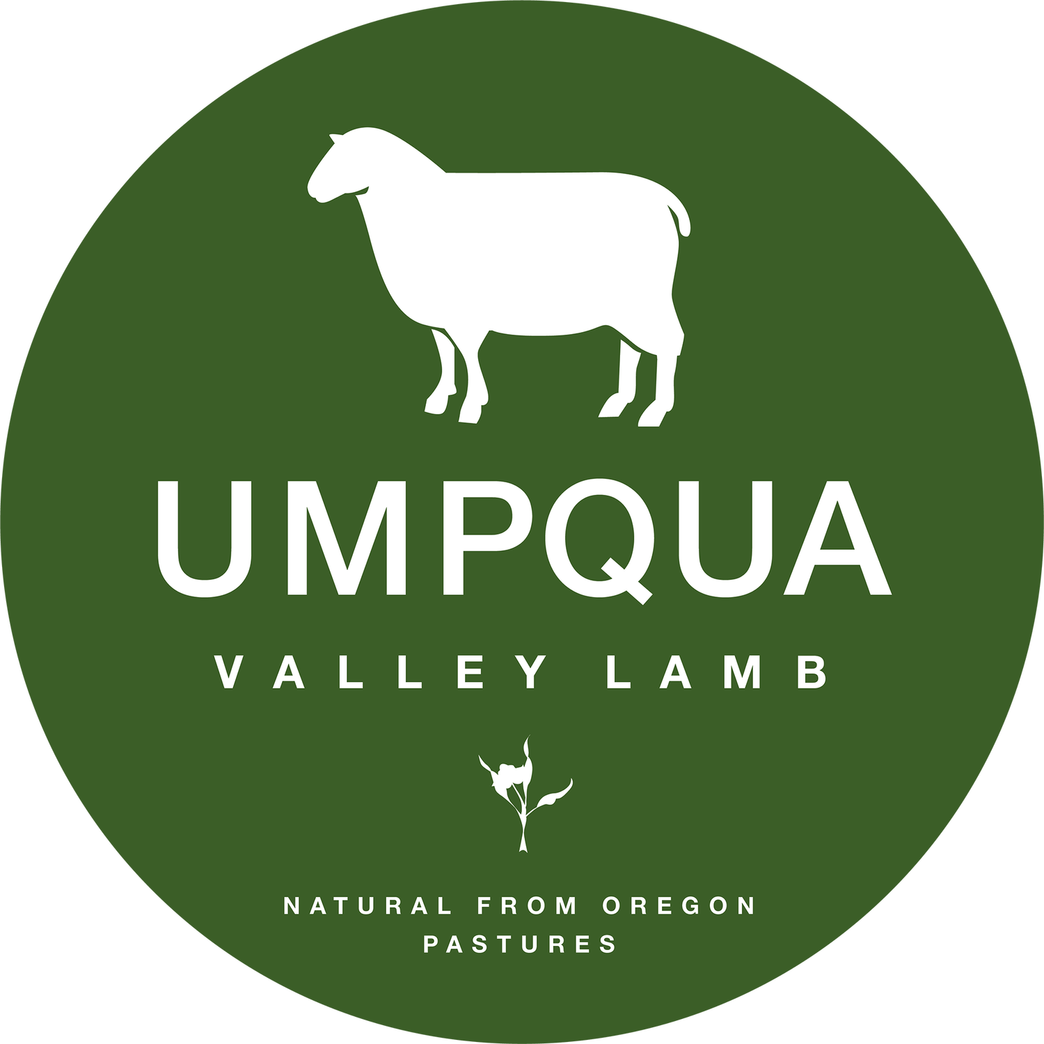 Umpqua Valley Lamb
