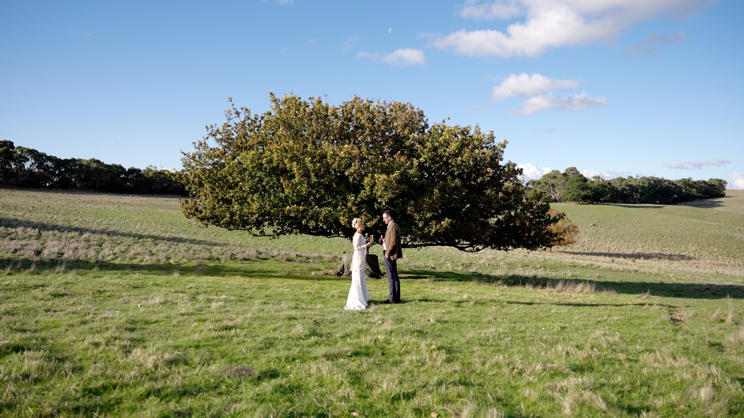 Couple in wedding attire standing under a large tree in a grassy field, holding glasses, with cloudy sky in the background.