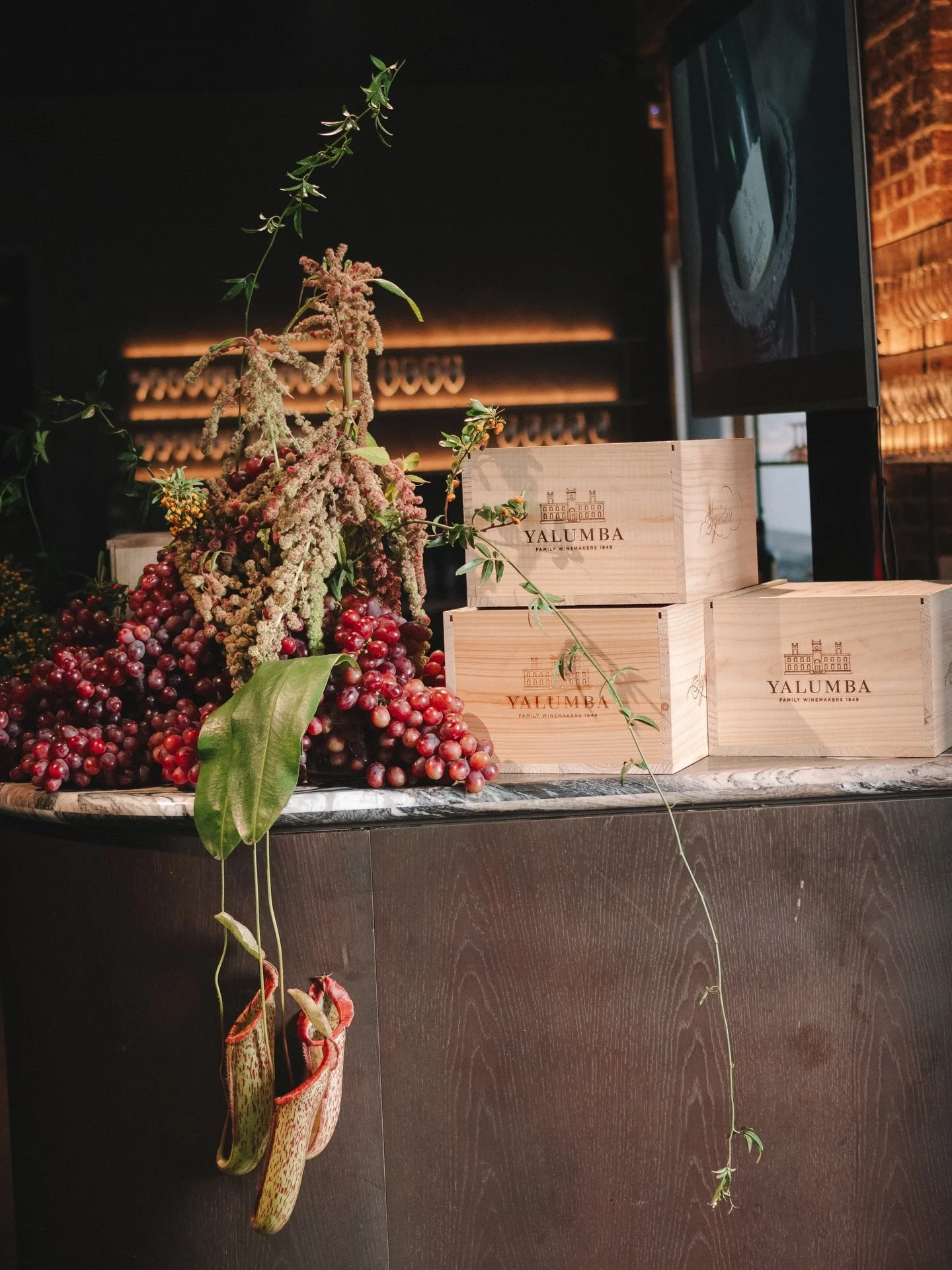 For YALUMBA 🍷
A trip to Sydney to style a very special event for @yalumbawine, together with @communicadoau

Photography @jasoncorrotophoto 
Venue @grana.sydney 
Styling @ruby_and_james 
Flowers @muckfloral 
Print production @mickeylovesjacqui @smad