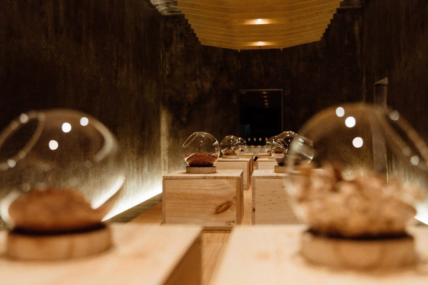 The Apothecary.
Drawn from the tasting notes of @yalumbawine latest signature release, we transformed the underground vault into a sensory experience. 

An immersive world where guests could wander, discover, and experience the wine beyond the glass.