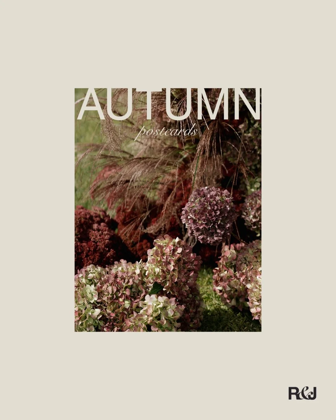 Autumn postcards. 
A little wrap up of the past few months 🤎