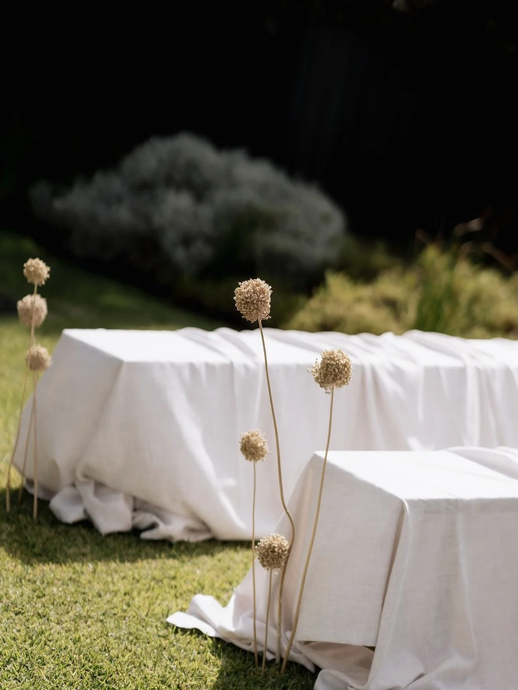 Autumn weddings by the ocean 🤍

Together with ~
@samanthaelizabethphotography 
@tweedtwigs 
@firecrackerevent 
@social.eventhire 
@tablearteventhire 
@smadadesignandprint 
@figandsalt