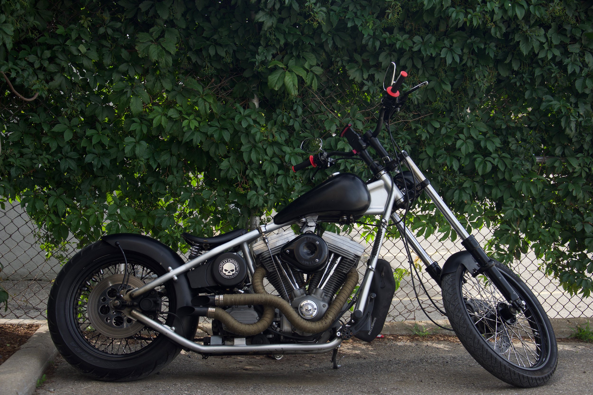 DSC_0931.jpeg