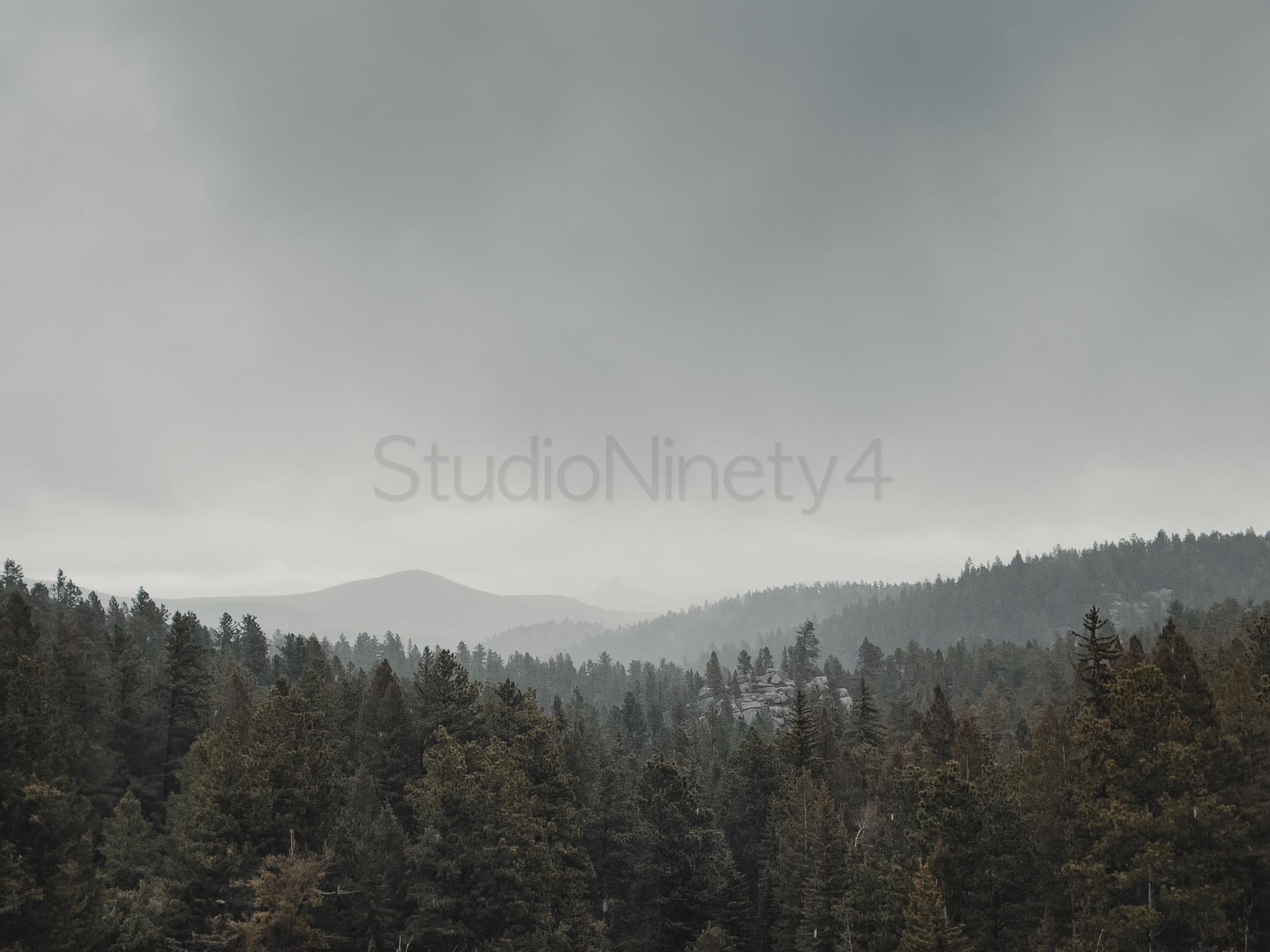 StudioNinety4-51.jpg