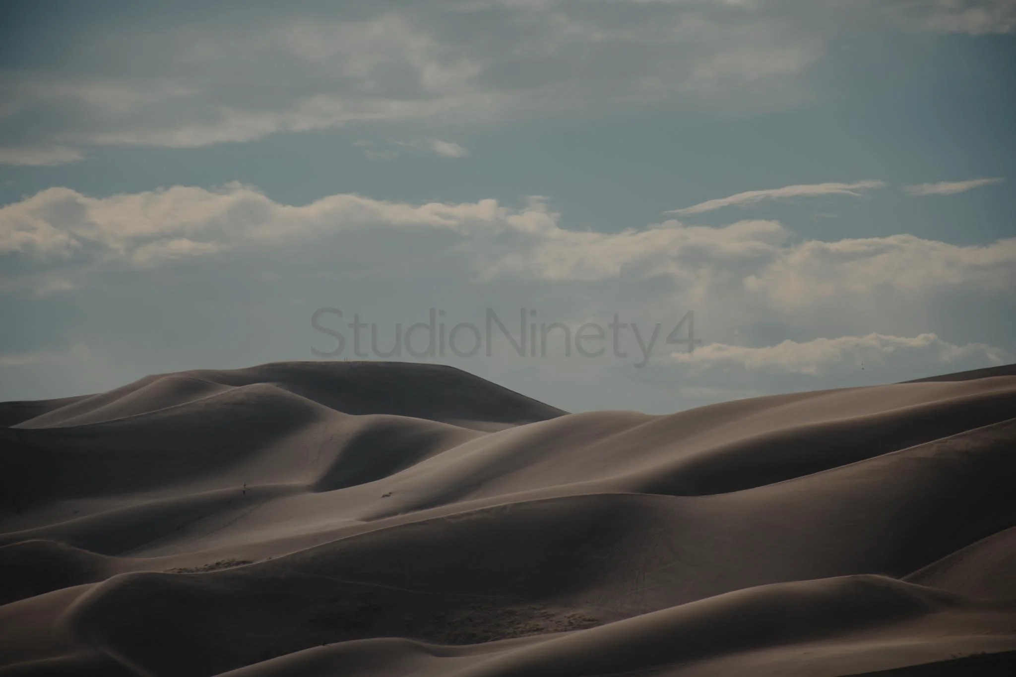 StudioNinety4-62.jpg