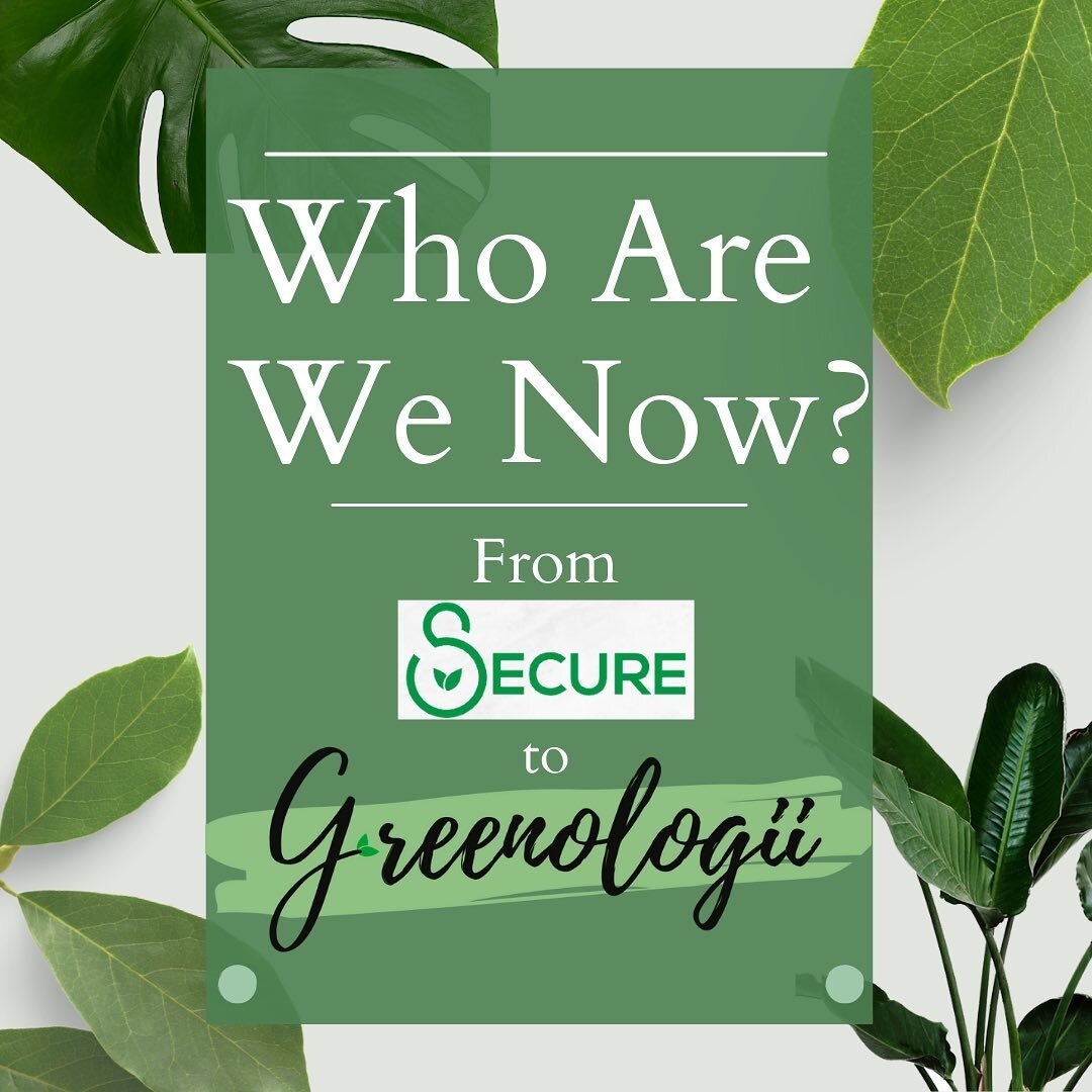 FOLLOW OUR JOURNEY! Greenologii 🌱 has grown a lot over the past five years. Stay tuned for more updates! 
.
.
.
.
.
.
.
.
.
.
#sustainability #ourjourney #eco #lesswaste#sustainablebrands #reducewaste #green