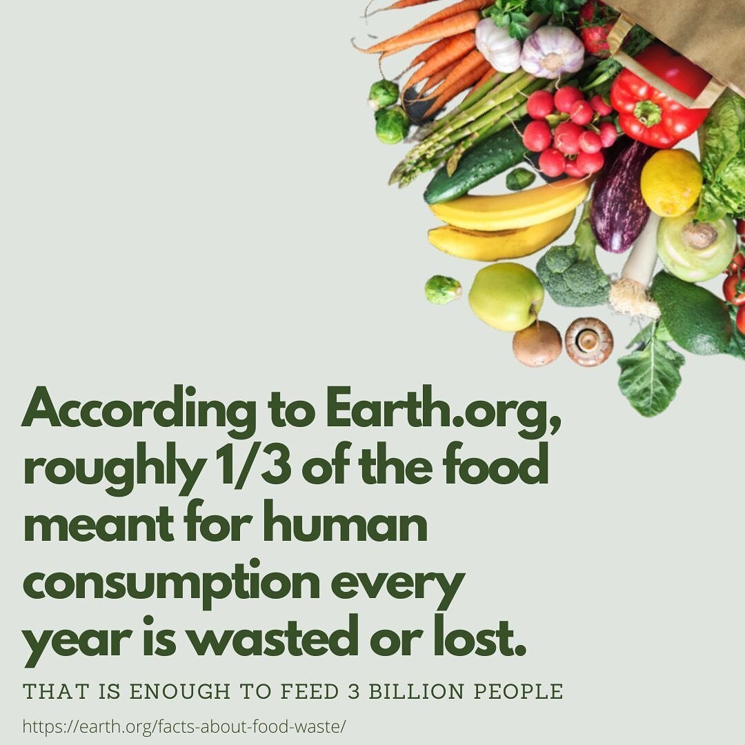 Food waste is one of the biggest contributors to climate change. Comment below and tell us how you reduce food waste in your kitchen!! 

 
#foodwaste #climatechange #healthycooking #environment #fruitsandveggies #greenologii #torontomet #earth #eatin