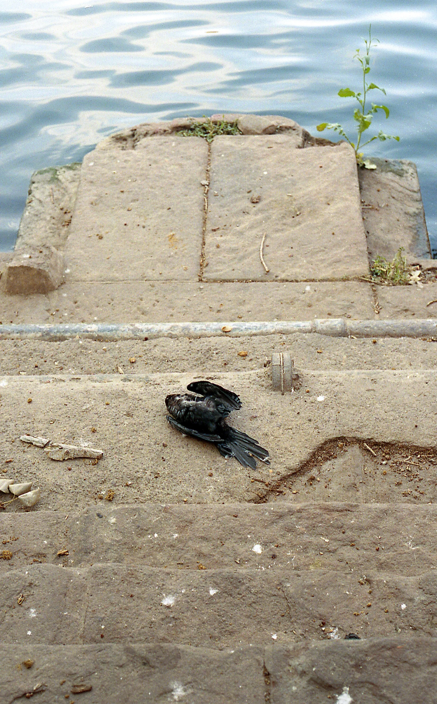Jodhpur_1_13-Edit.jpg
