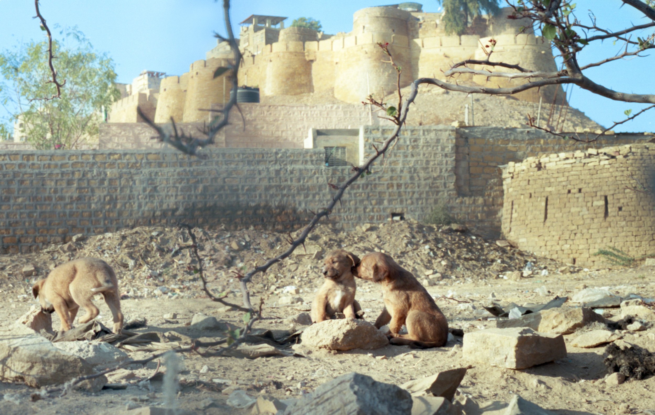 Jaisal_1_014-Edit.jpg