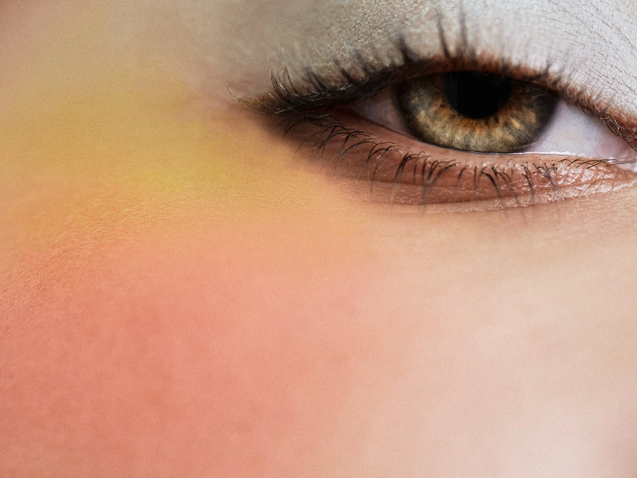 2023-03-193773 1.jpg