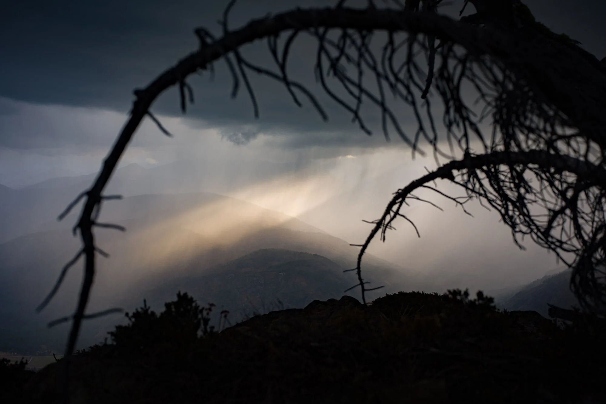 Hasselblad Example 4.jpg