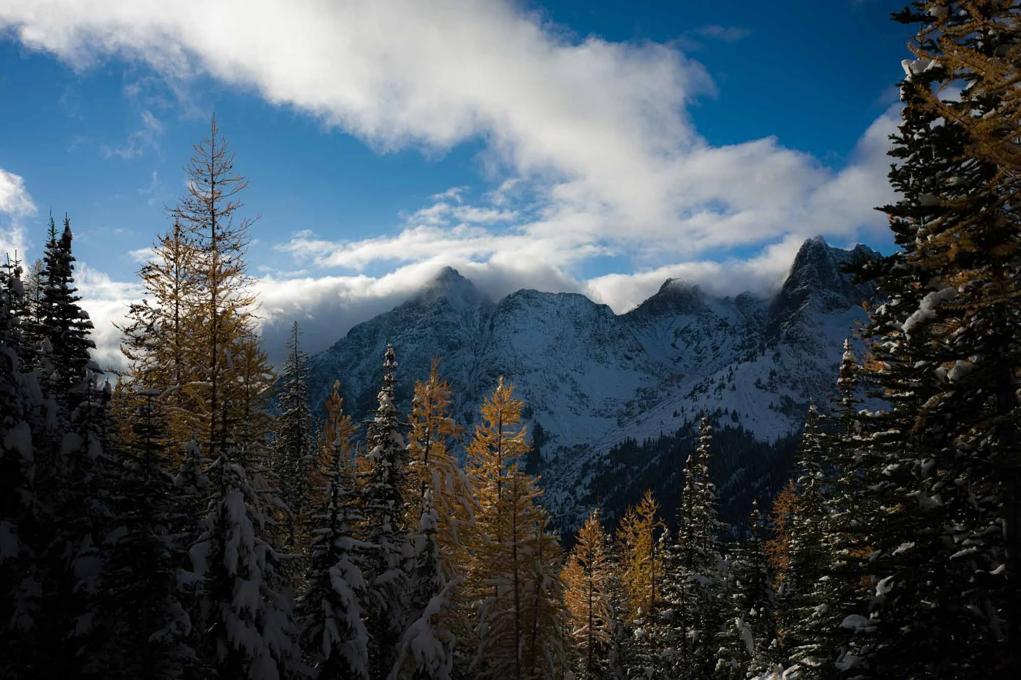 Hasselblad Example 5.jpg