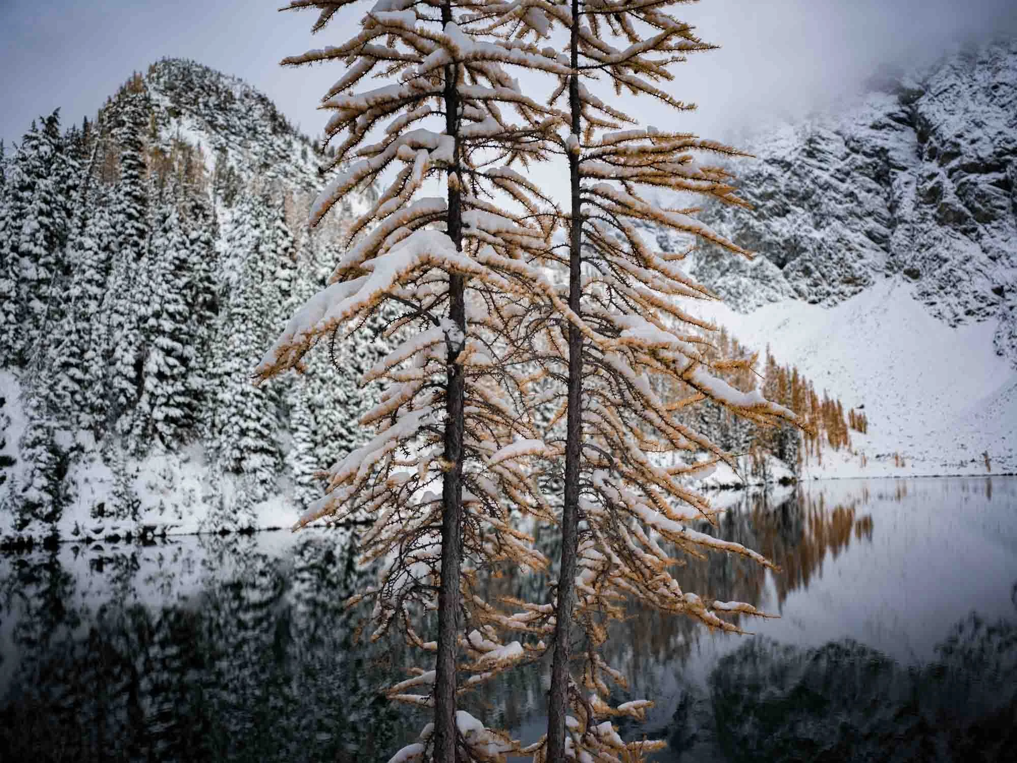 Hasselblad Example 6.jpg