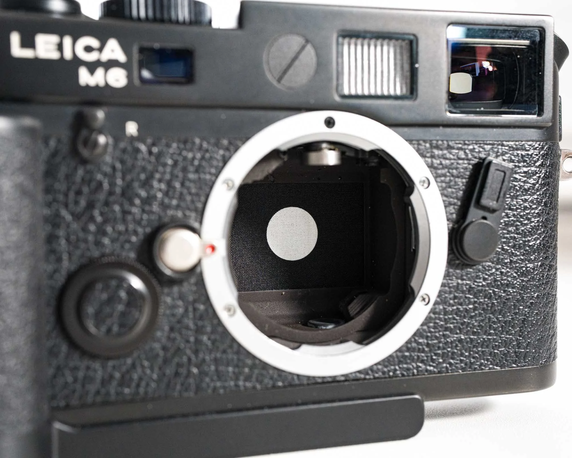 Leica-16.jpg