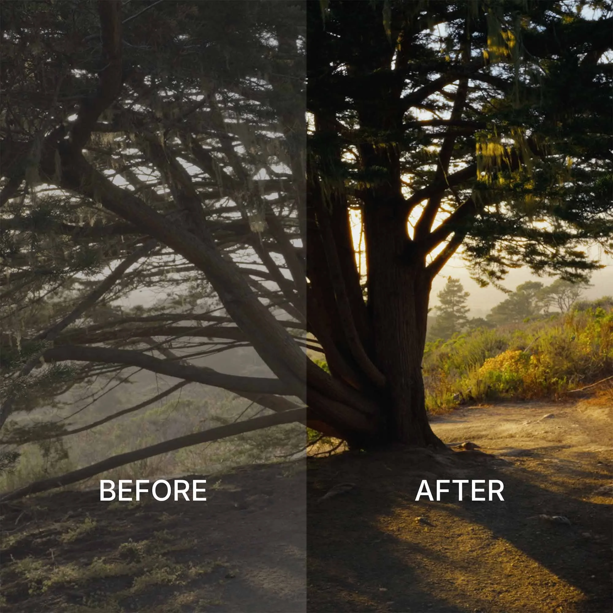 Power Color Before:After 4.jpg