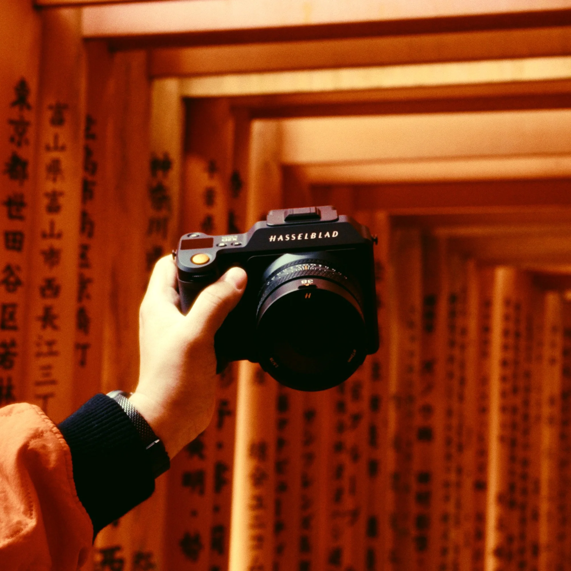 kyler steele user generated content