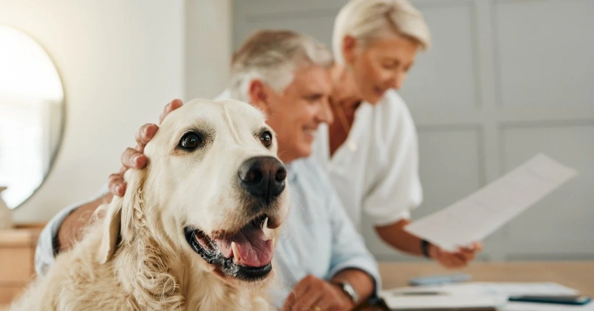 A golden retriever sits next to a couple reviewing documents at a table with a laptop in a bright home setting.