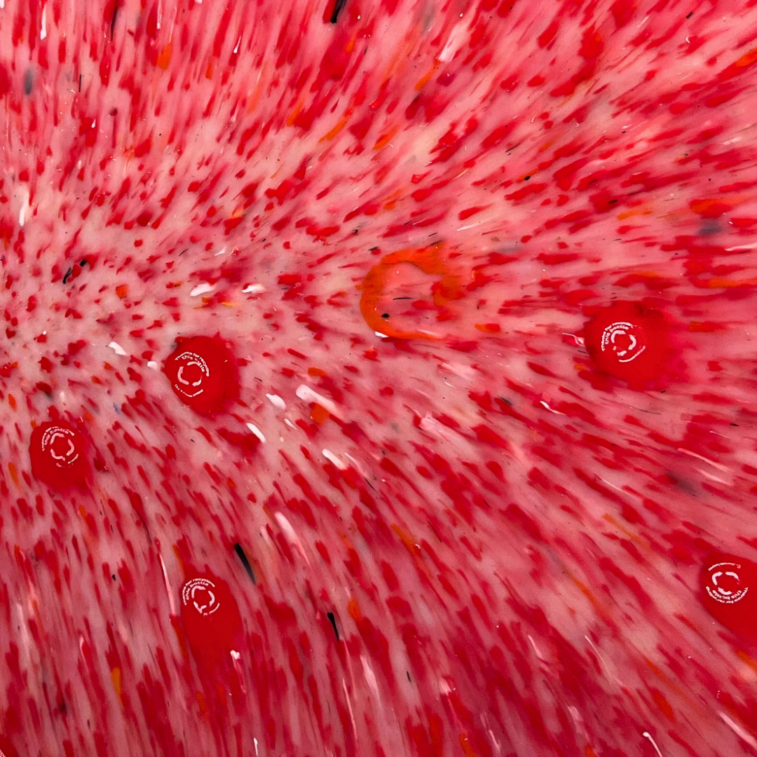 Close-up of a red flower with water droplets on its petals.