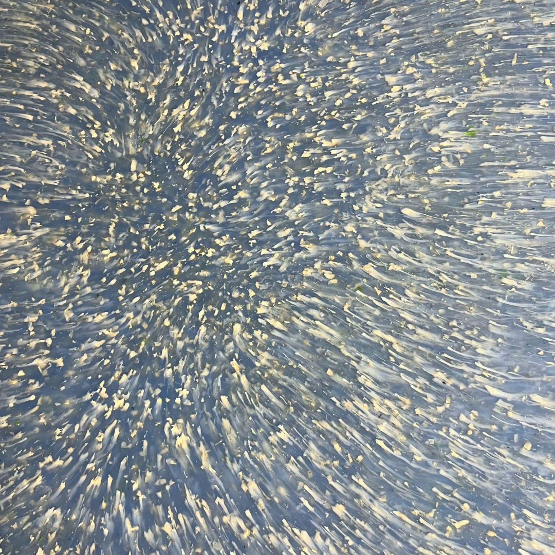 Recycled plastic panel