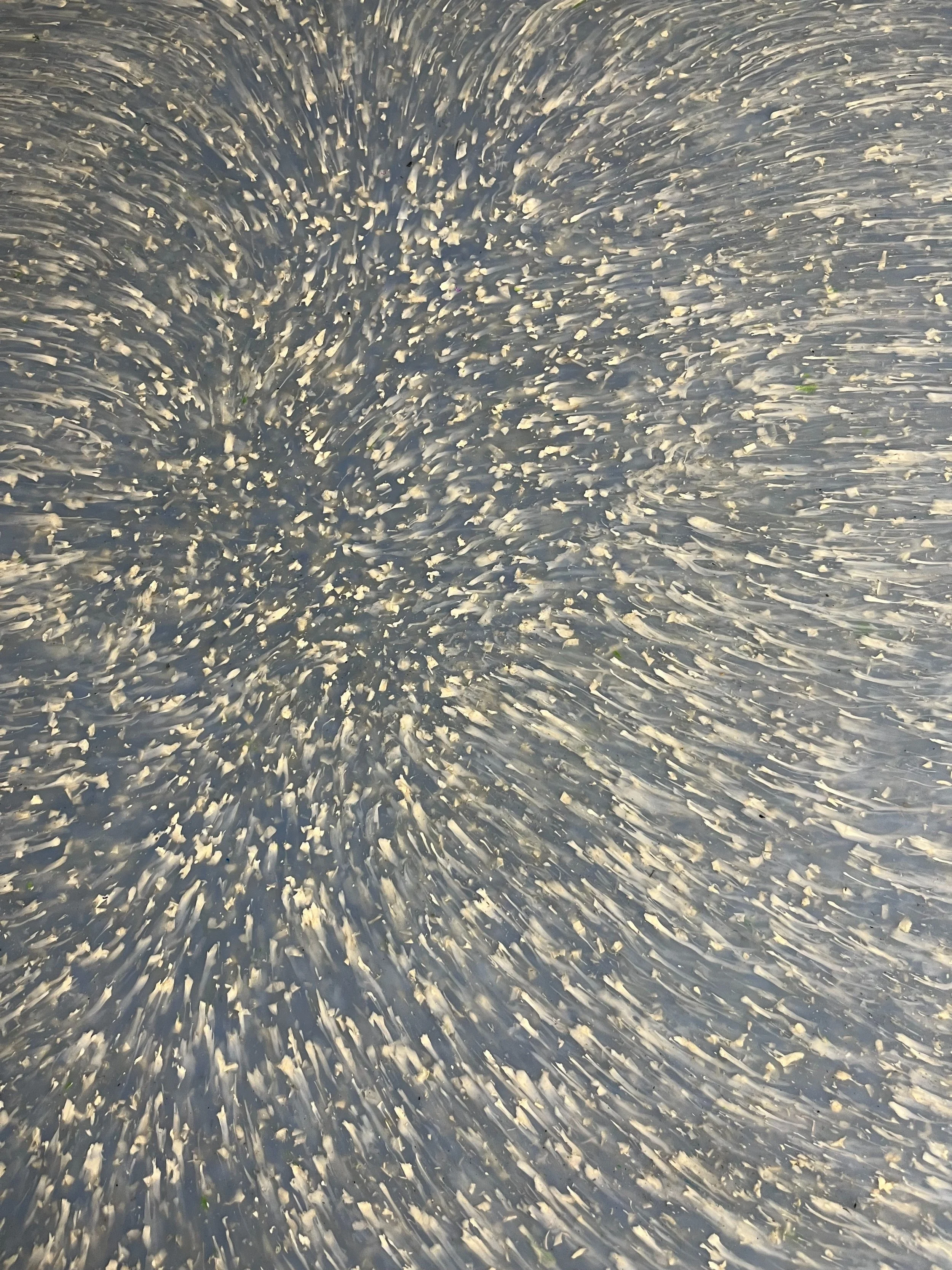 Recycled plastic panel