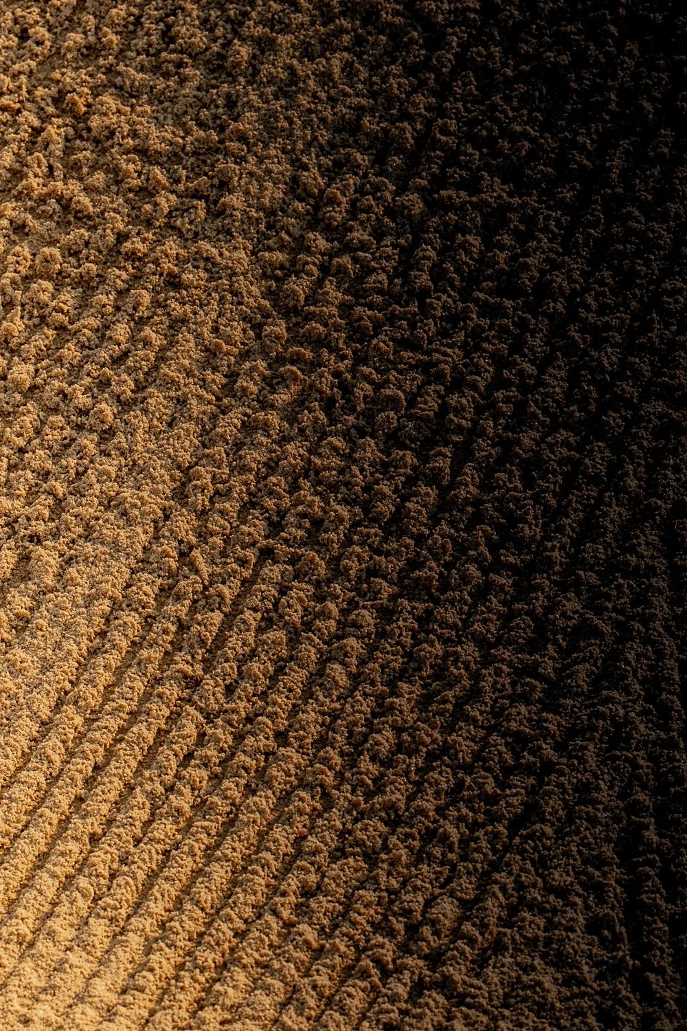 SAILFISH2026-EVENT (Web 1500)53.jpg