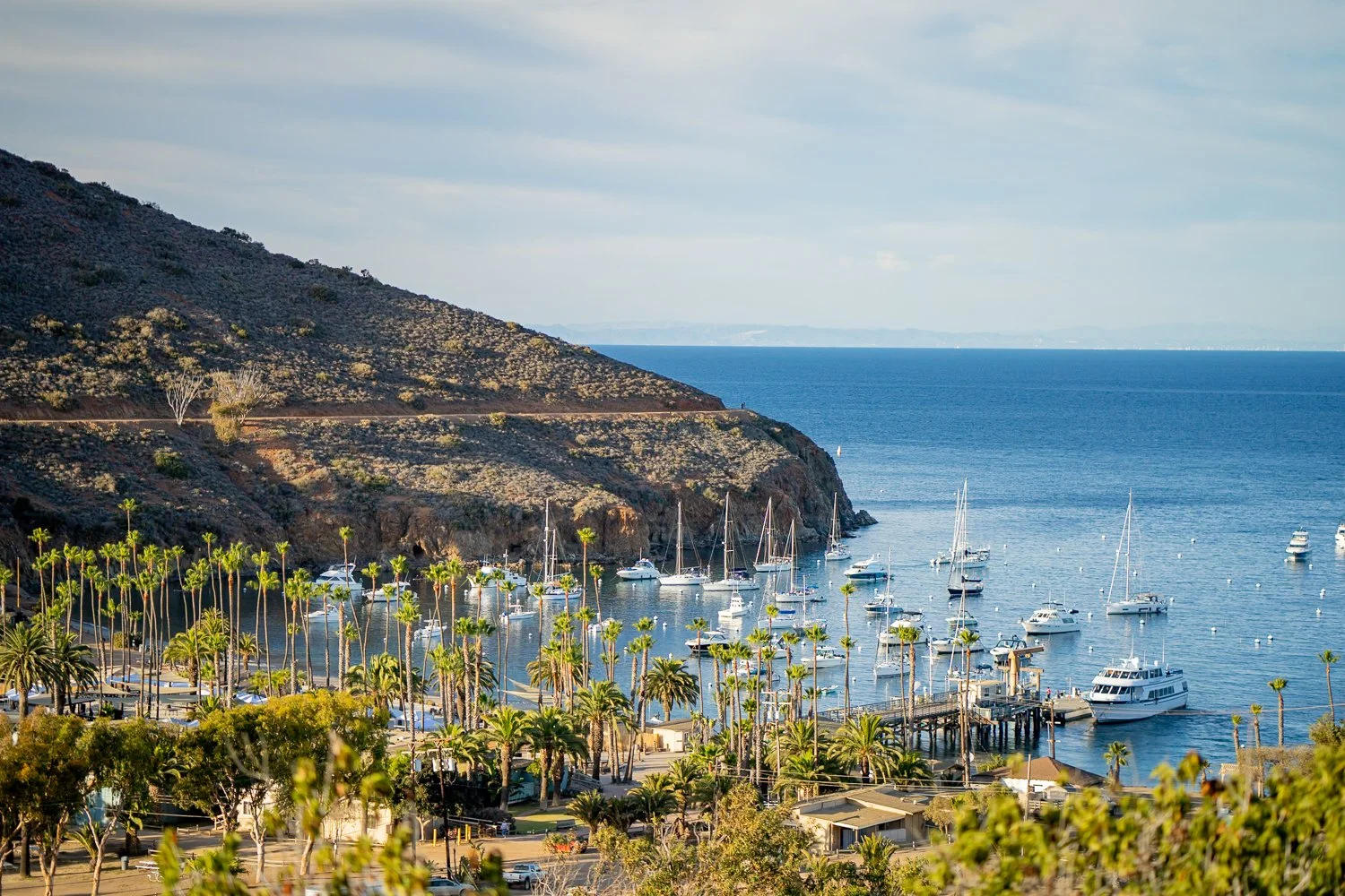 SAILFISH2026-EVENT (Web 1500)78.jpg