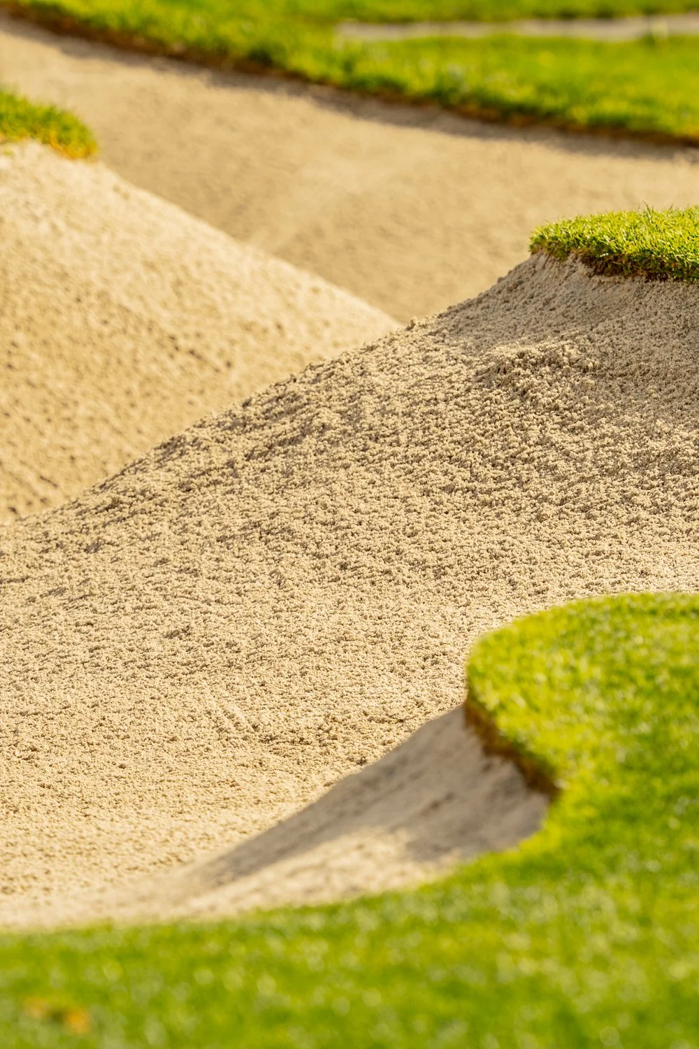 SAILFISH2026-EVENT (Web 1500)11.jpg