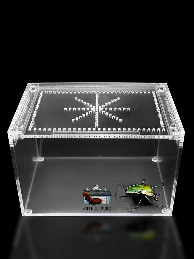 Buy Arboreal Bliss (Creature Habitat) — Juice's Arthropods