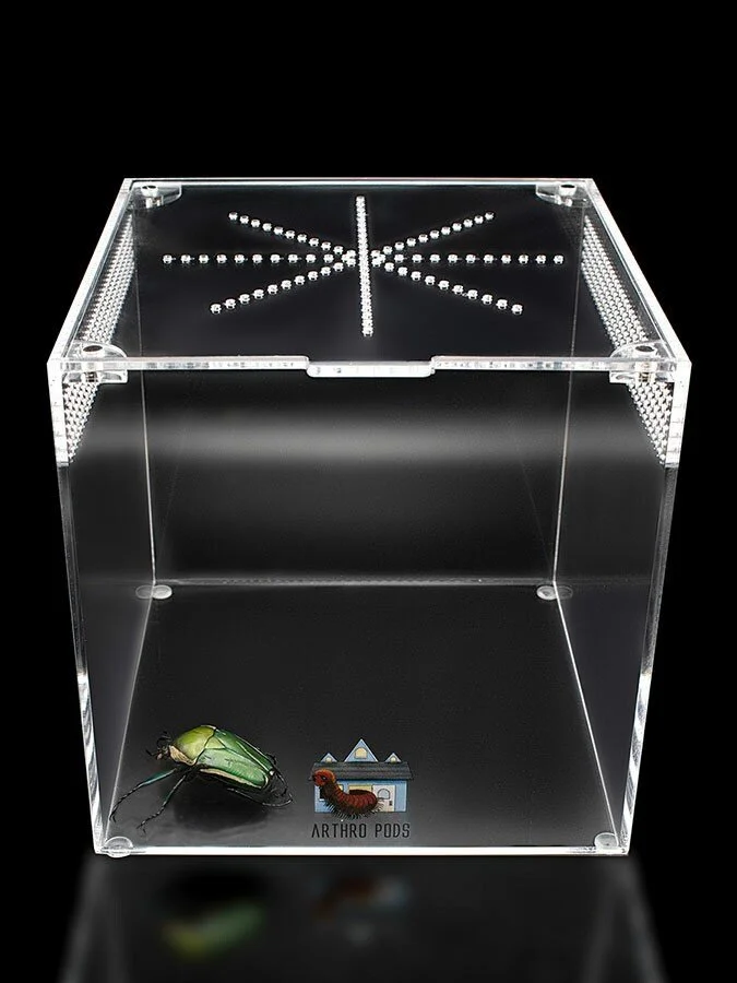 Buy Arboreal Bliss (Creature Habitat) — Juice's Arthropods