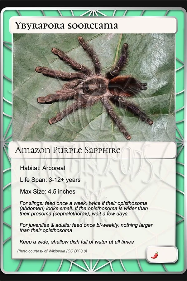ybyrapora-sooretama-amazon-purple-sapphire-card.jpg