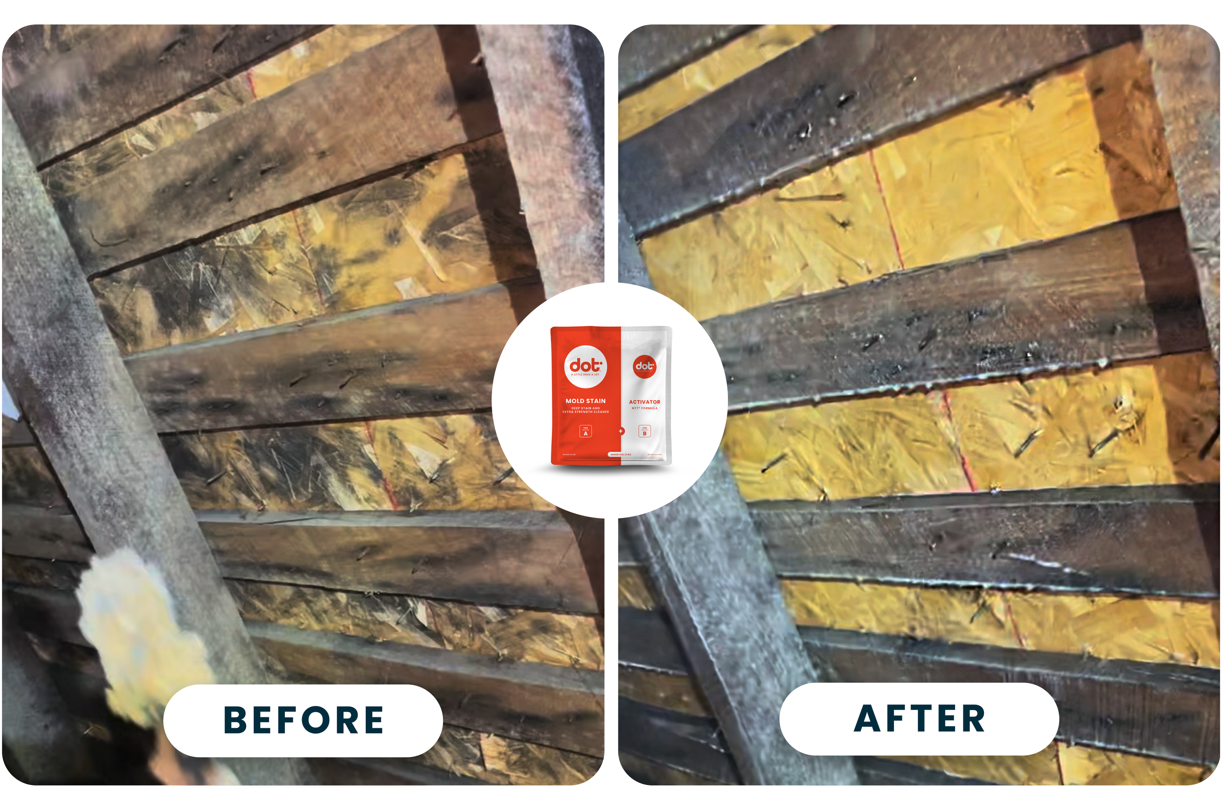 Dot-newsletter-DeepBeforeAfter.png