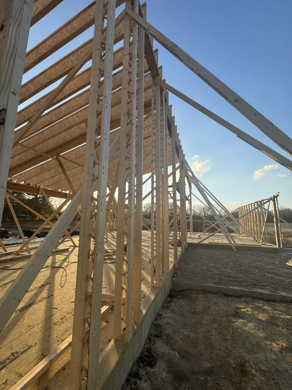  Look at those beautiful T-studs! 