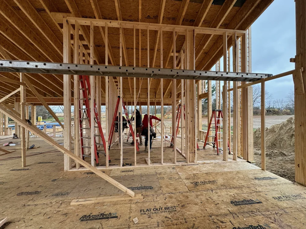 View from our living room