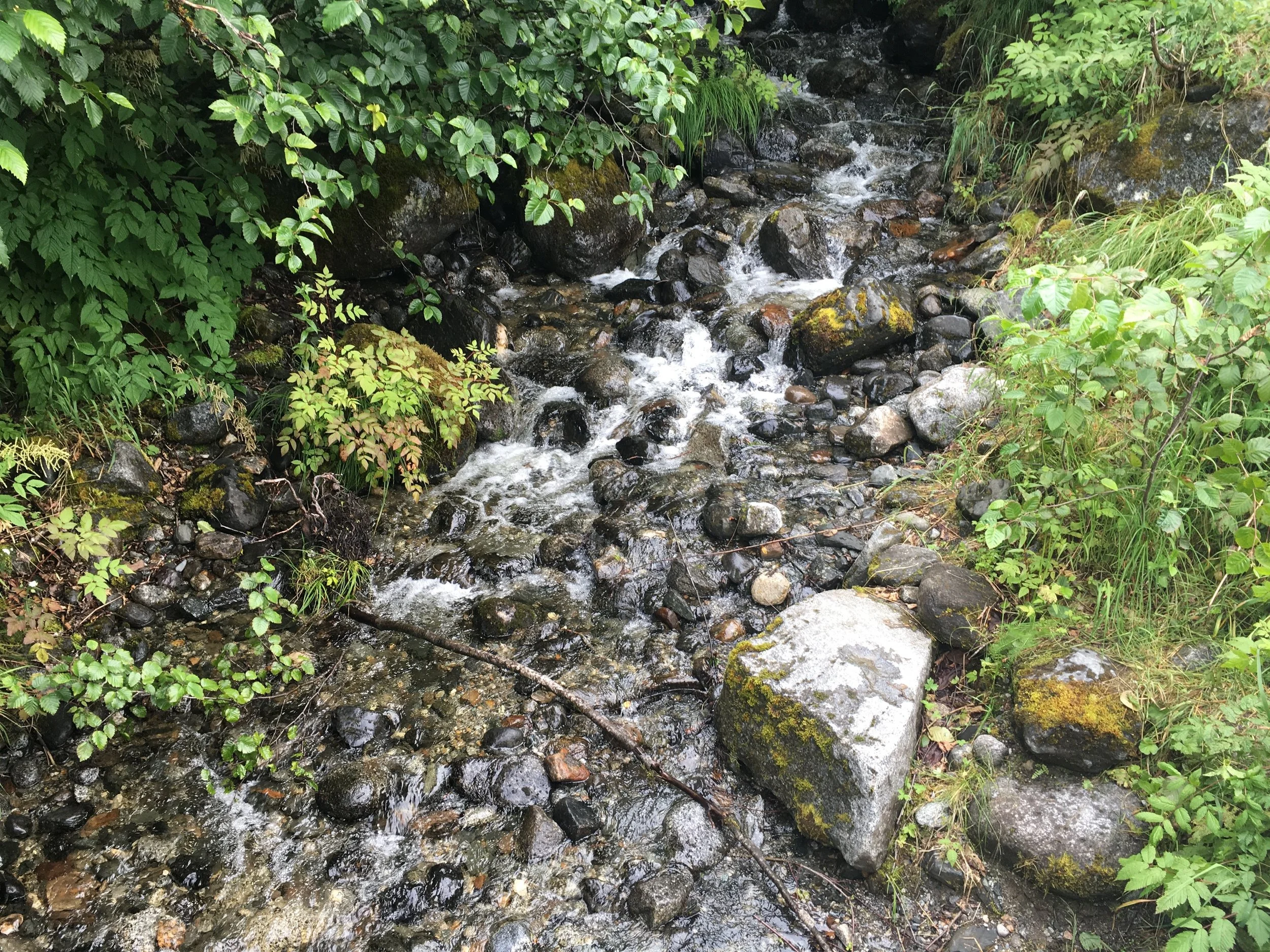 Alaskan Creek.jpeg