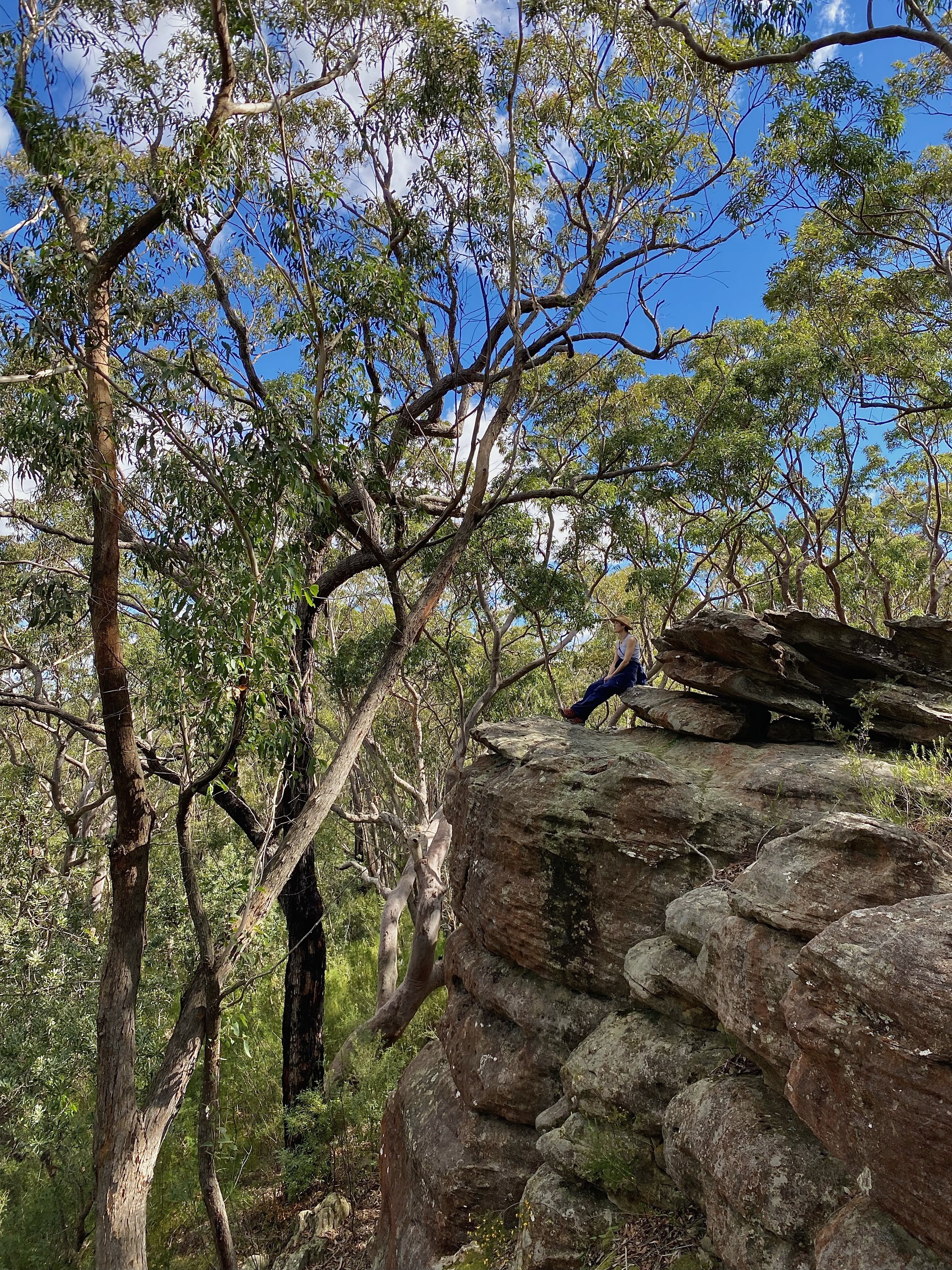 Forest Therapy Guide
