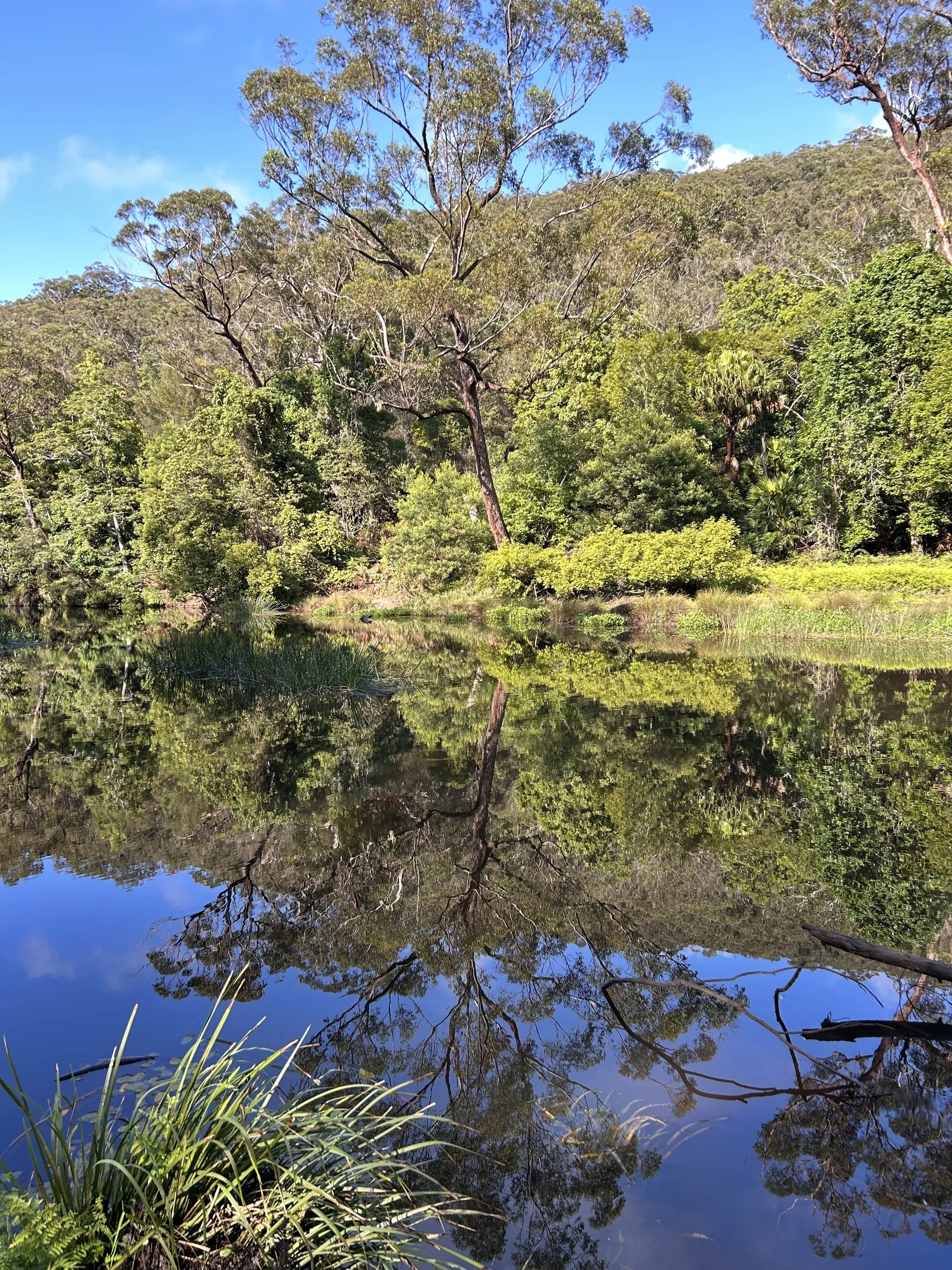 Audley, Royal National Park, Sydney