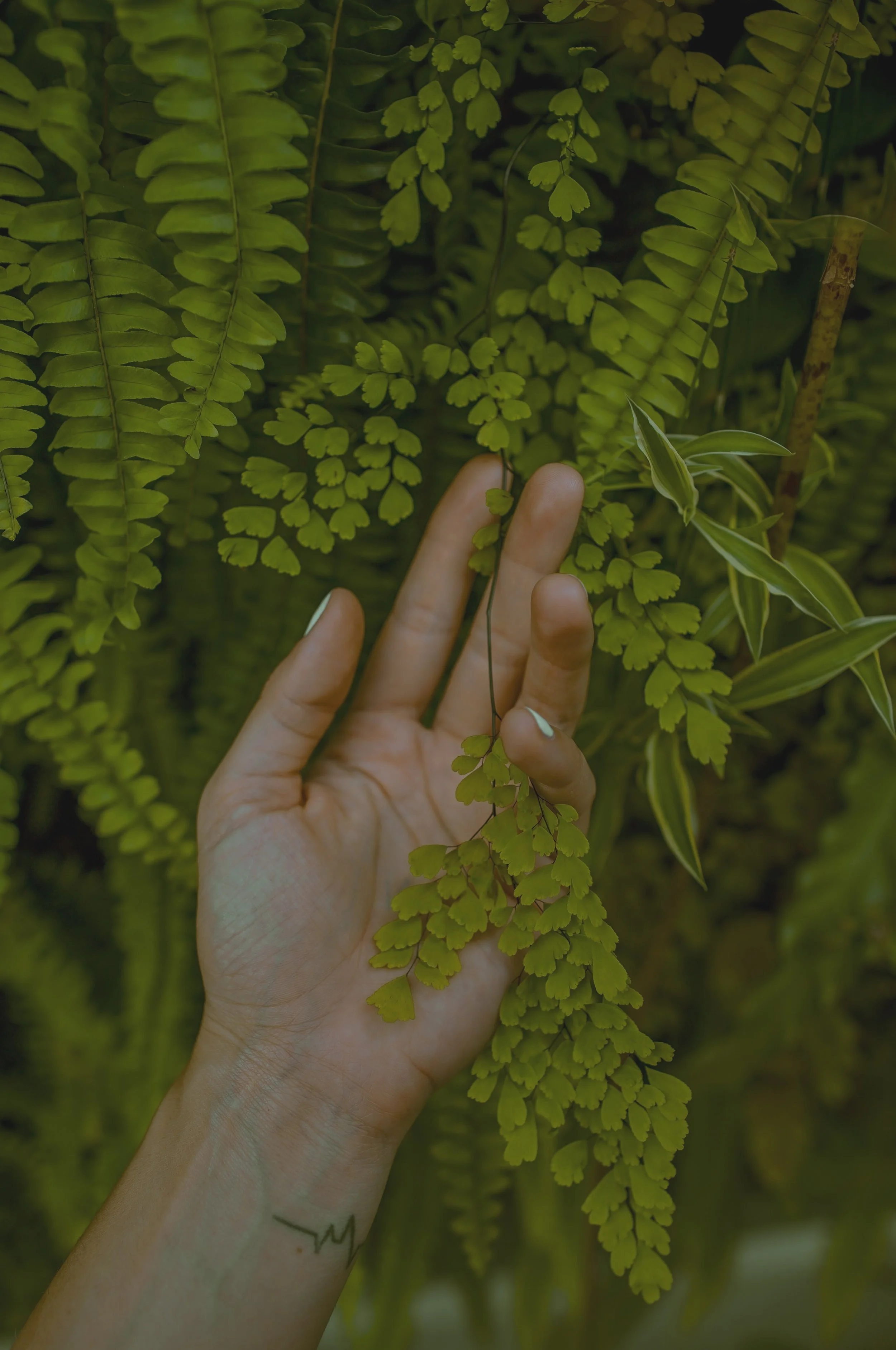 nature connection