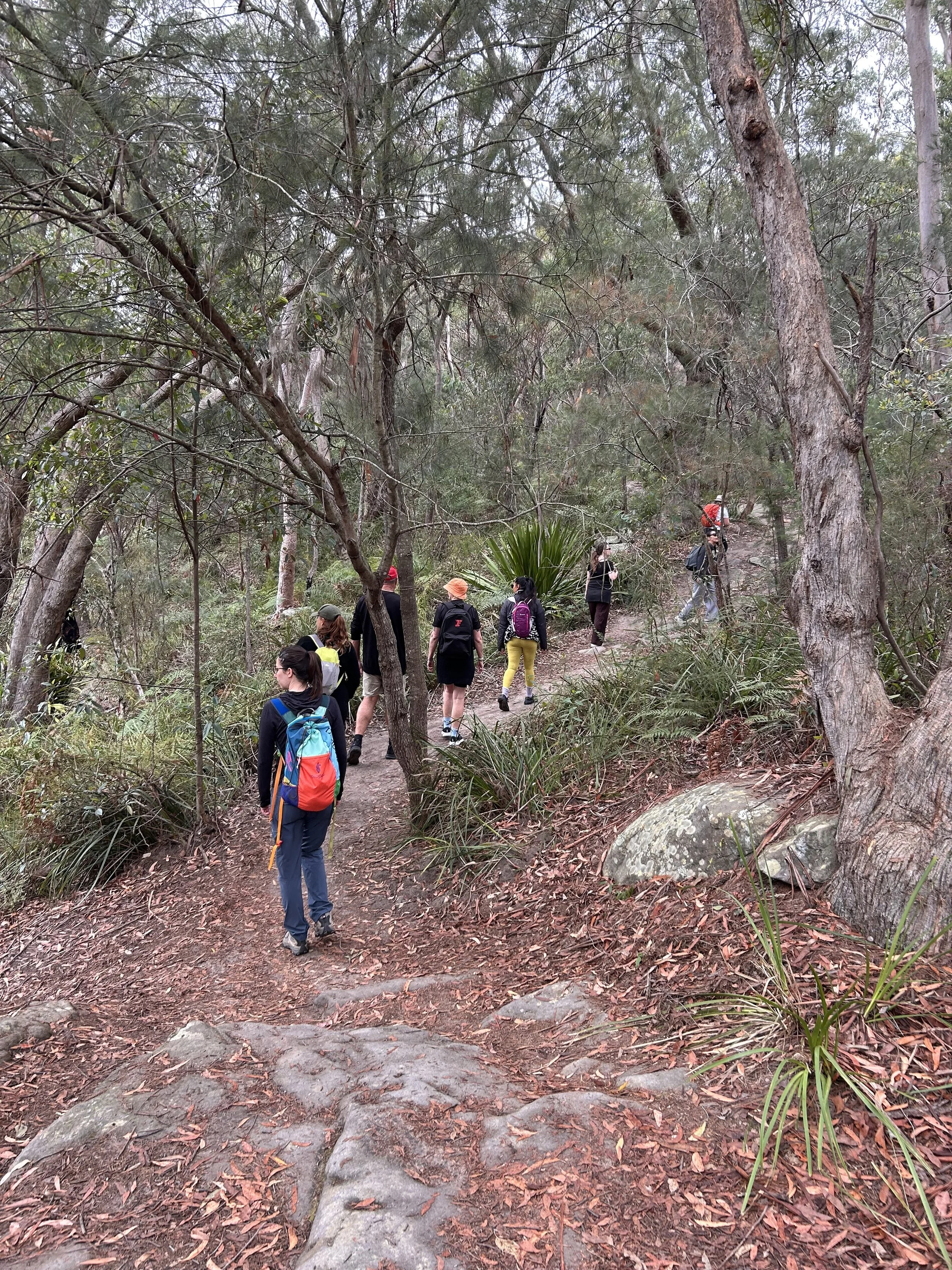 Guided Group Walk