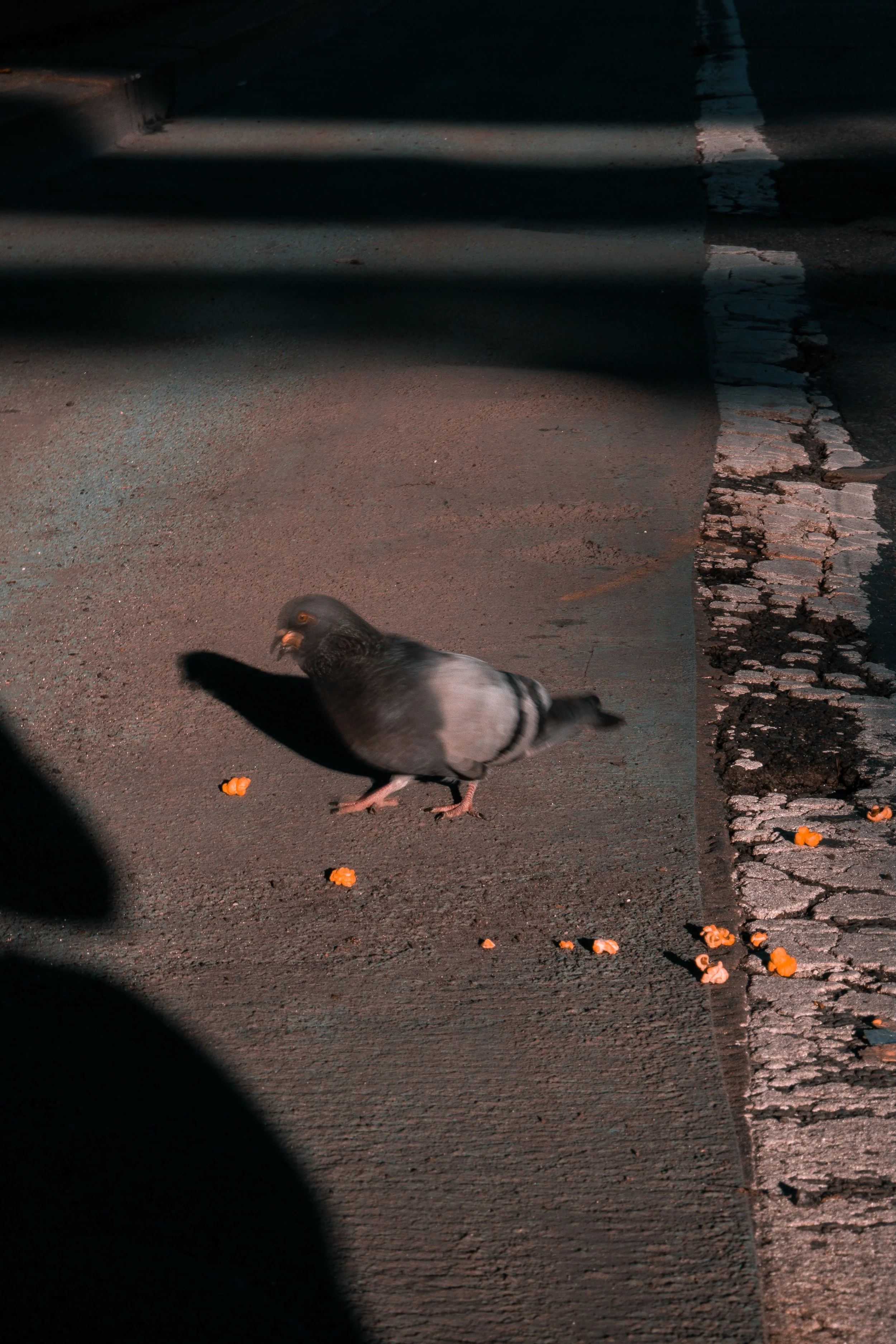 Uptownphotowalk042626 (21).jpg