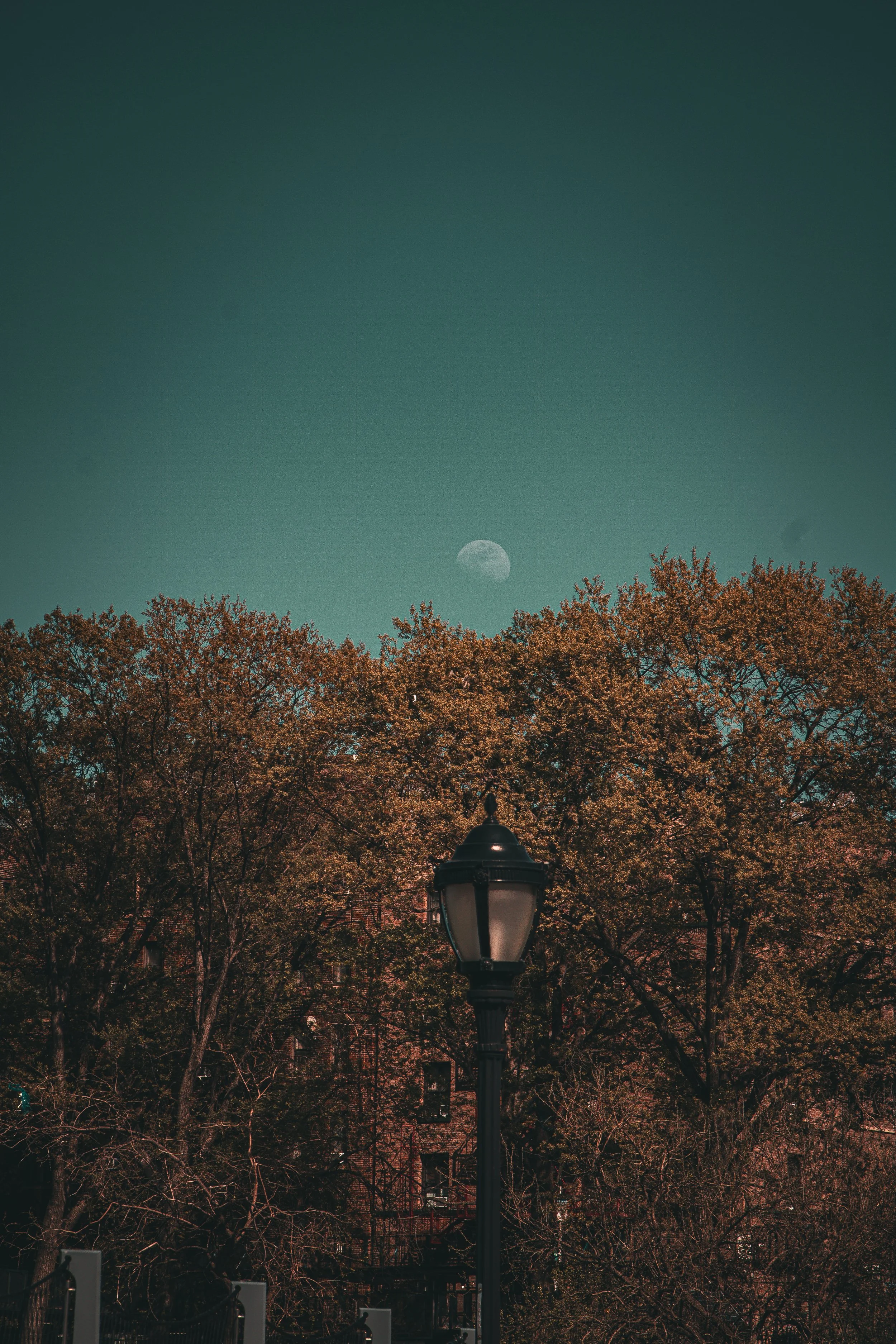 Uptownphotowalk042626 (35).jpg