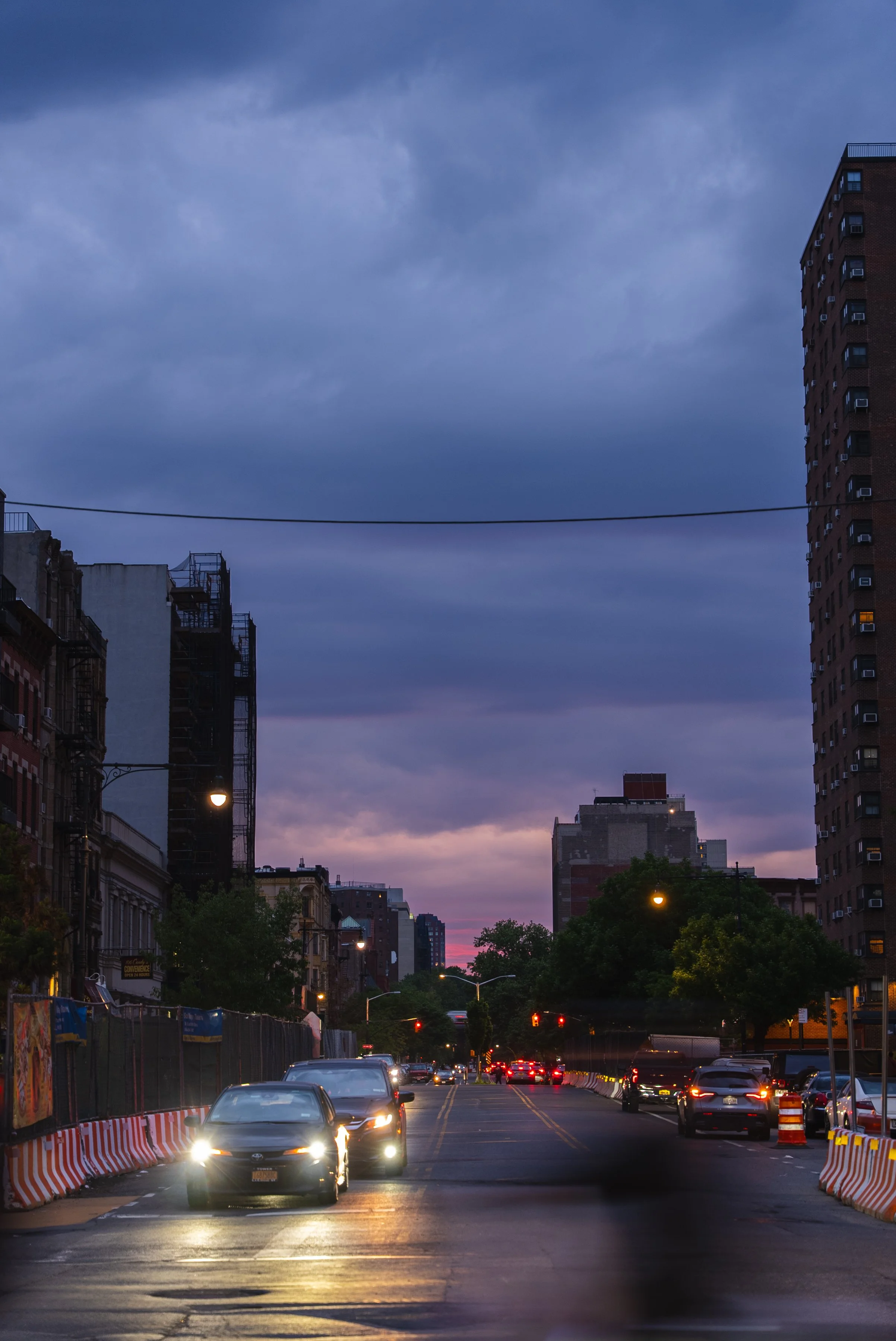 DSC00726.jpg