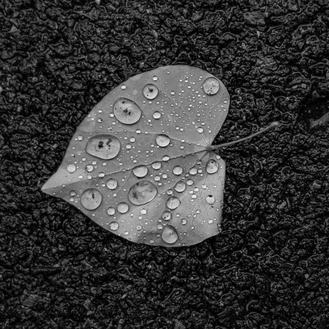IMG_elmochan_20260628_042908_a74.jpg