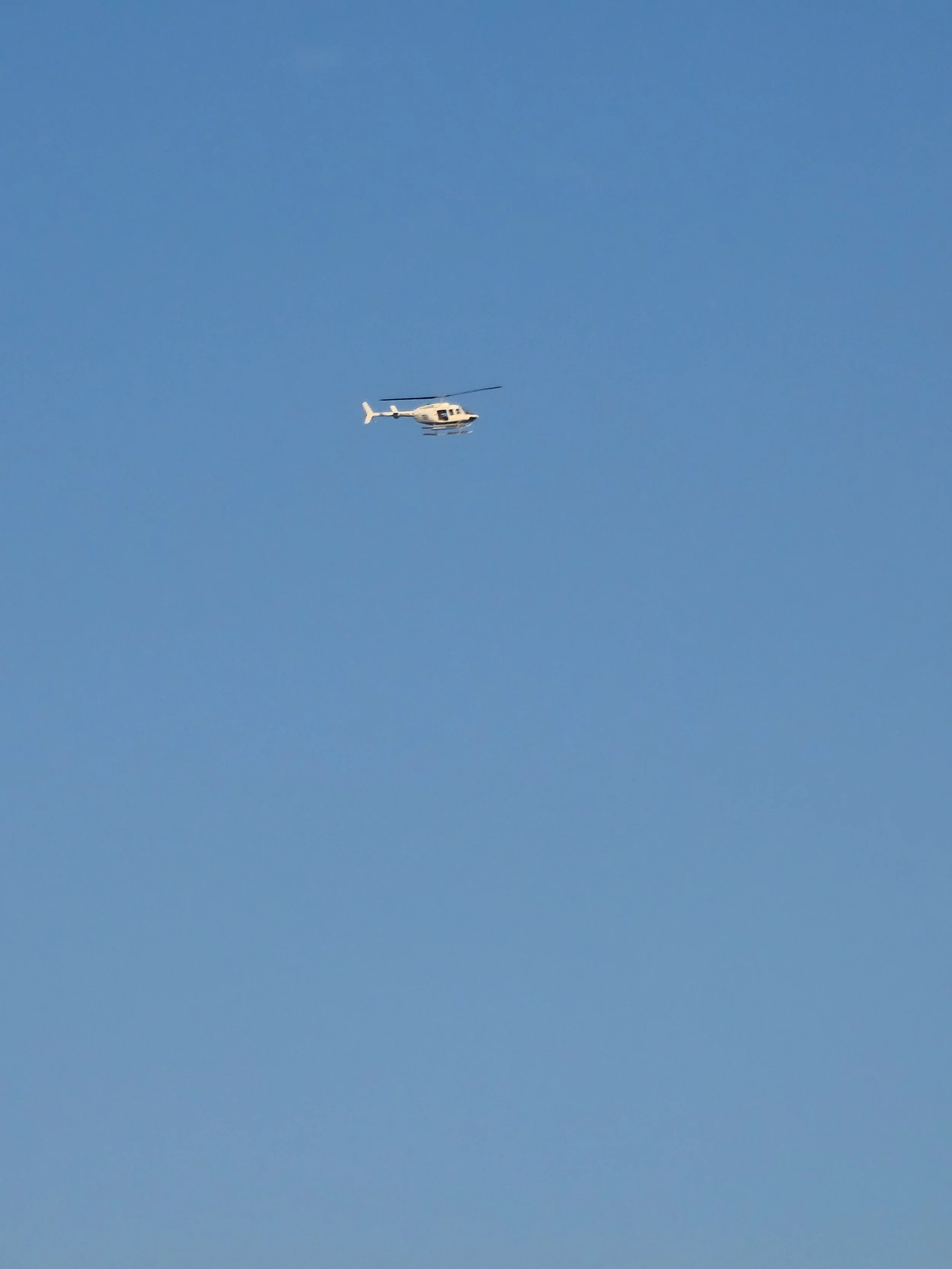 20260808_183323.jpg