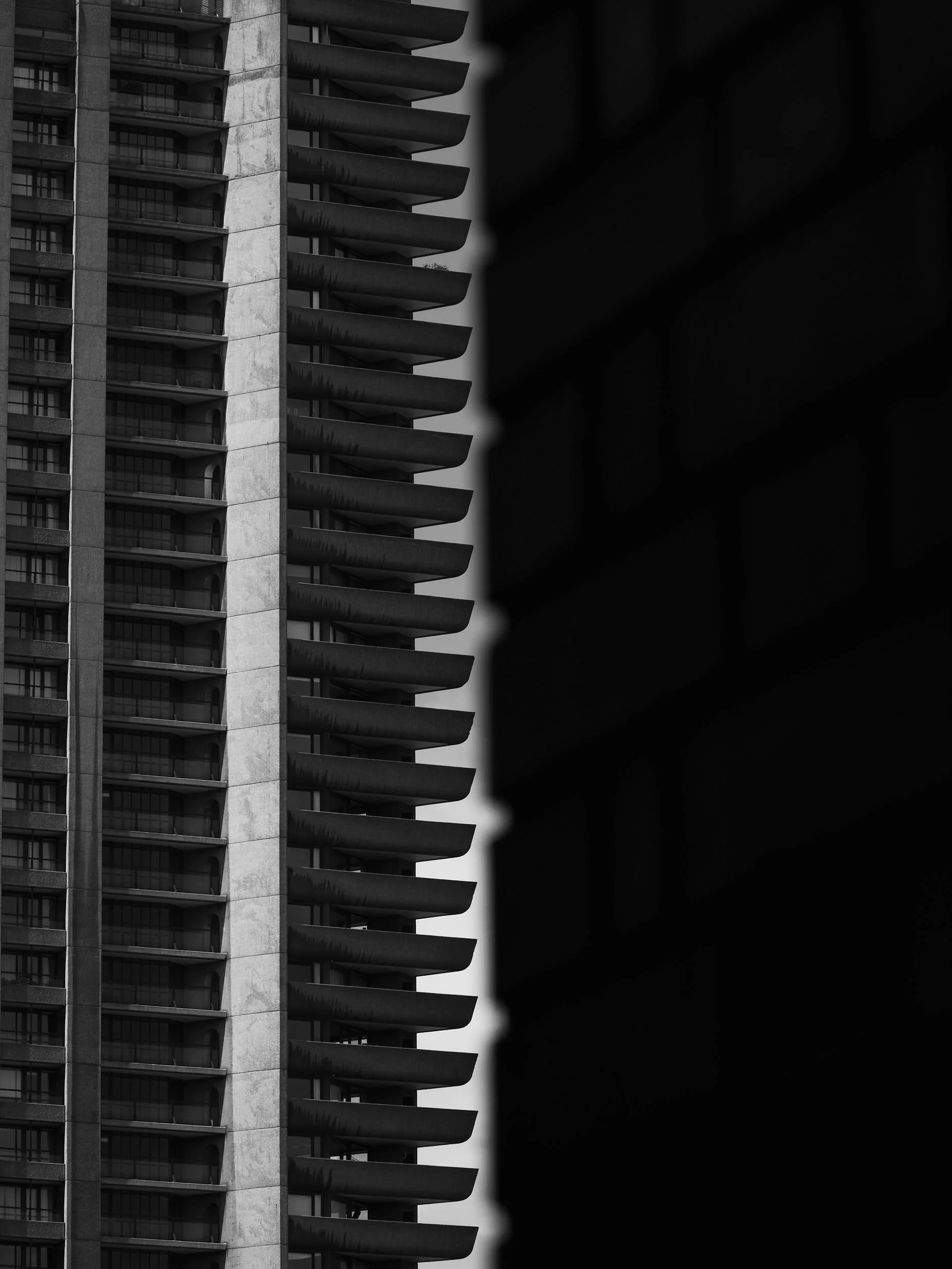 DSC00548.jpeg