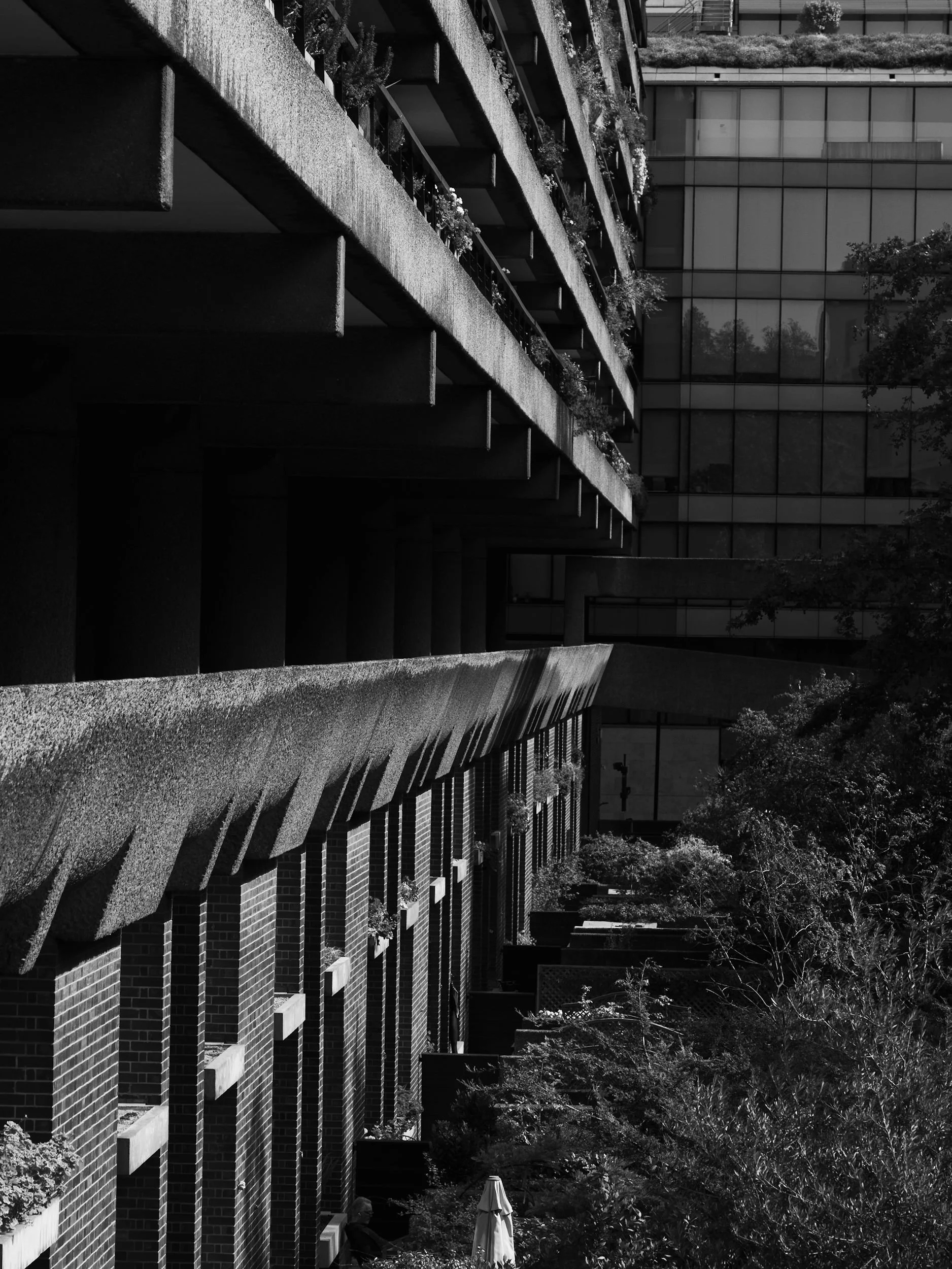 DSC00549.jpeg